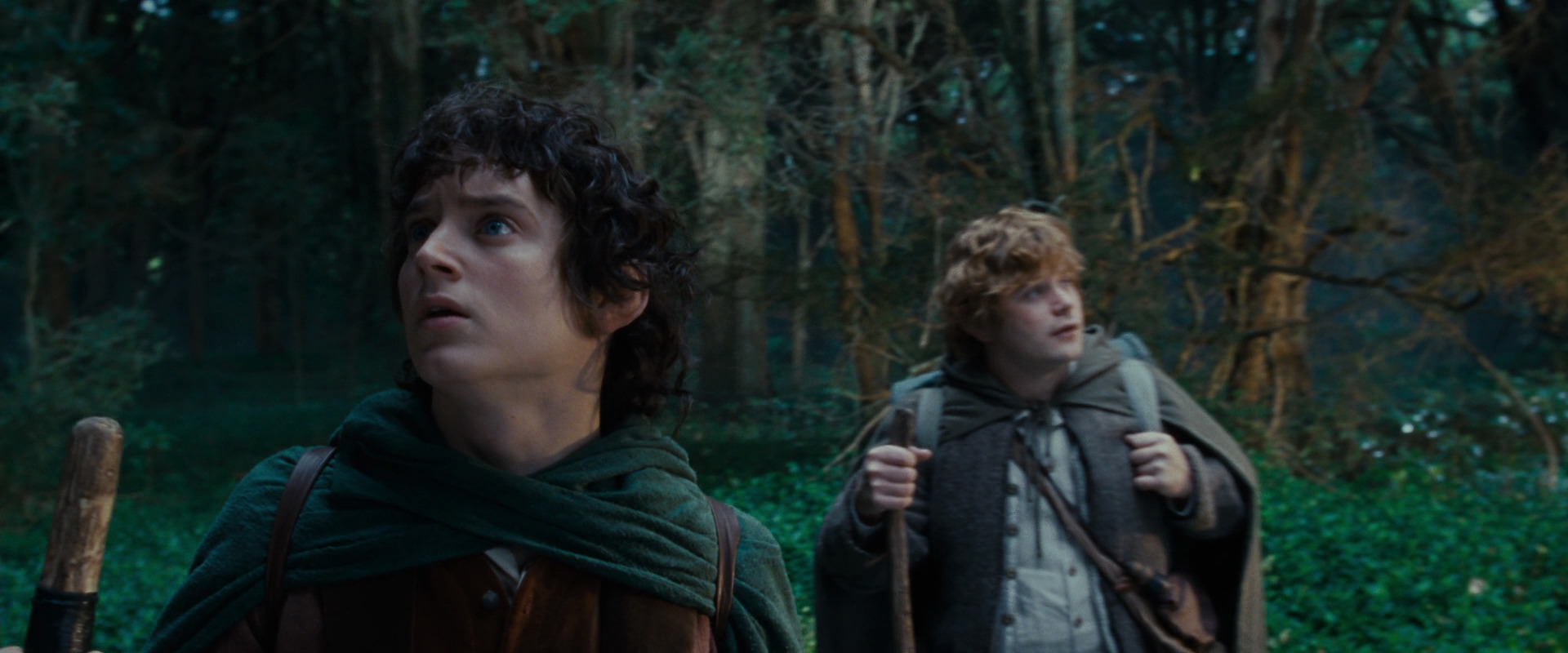 The Lord of the Rings: The Fellowship of the Ring (2001) HD screenshot 5003