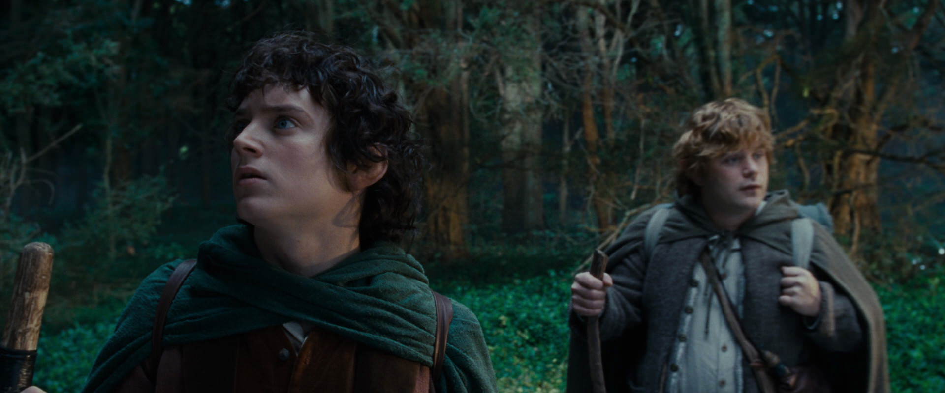 The Lord of the Rings: The Fellowship of the Ring (2001) screencap 5004