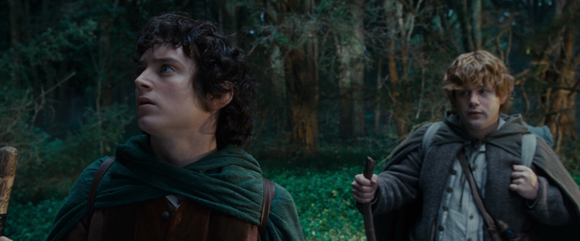 The Lord of the Rings: The Fellowship of the Ring (2001) movie still 5005