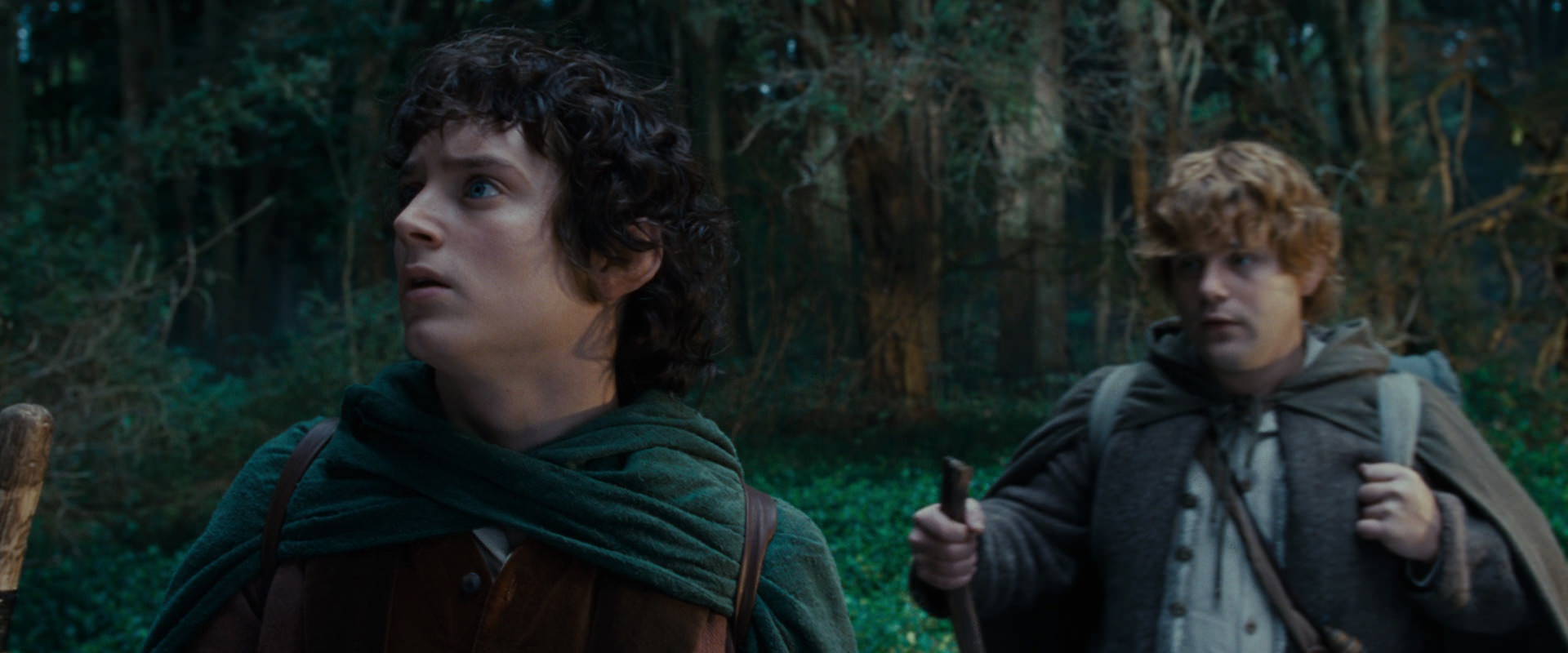 The Lord of the Rings: The Fellowship of the Ring (2001) HD screenshot 5006