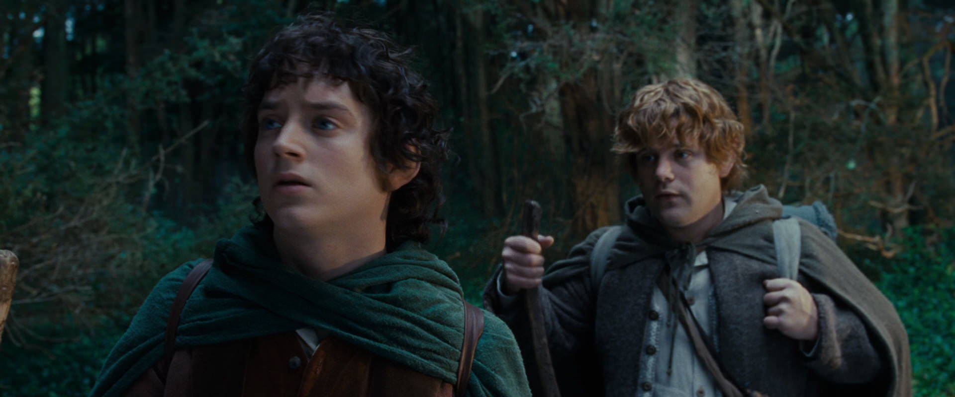 The Lord of the Rings: The Fellowship of the Ring (2001) screencap 5007