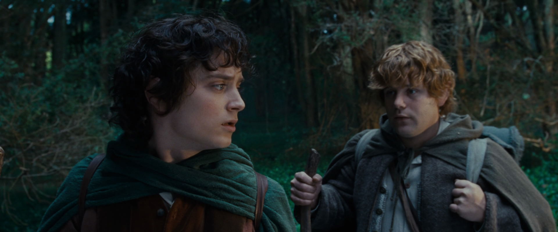The Lord of the Rings: The Fellowship of the Ring (2001) movie still 5008