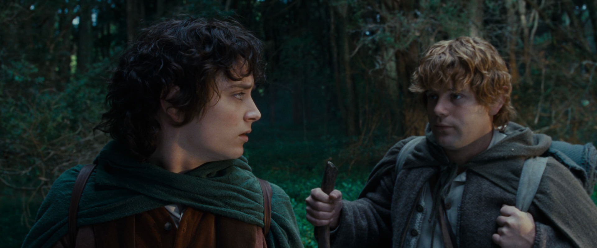 The Lord of the Rings: The Fellowship of the Ring (2001) HD screenshot 5009
