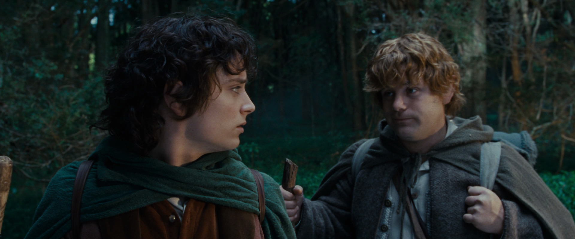 The Lord of the Rings: The Fellowship of the Ring (2001) screencap 5010