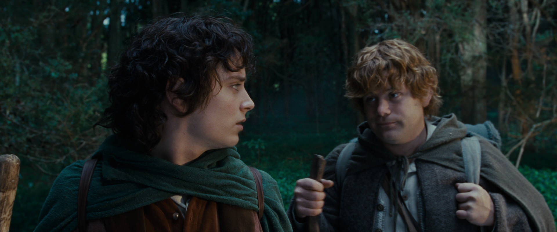 The Lord of the Rings: The Fellowship of the Ring (2001) movie still 5011