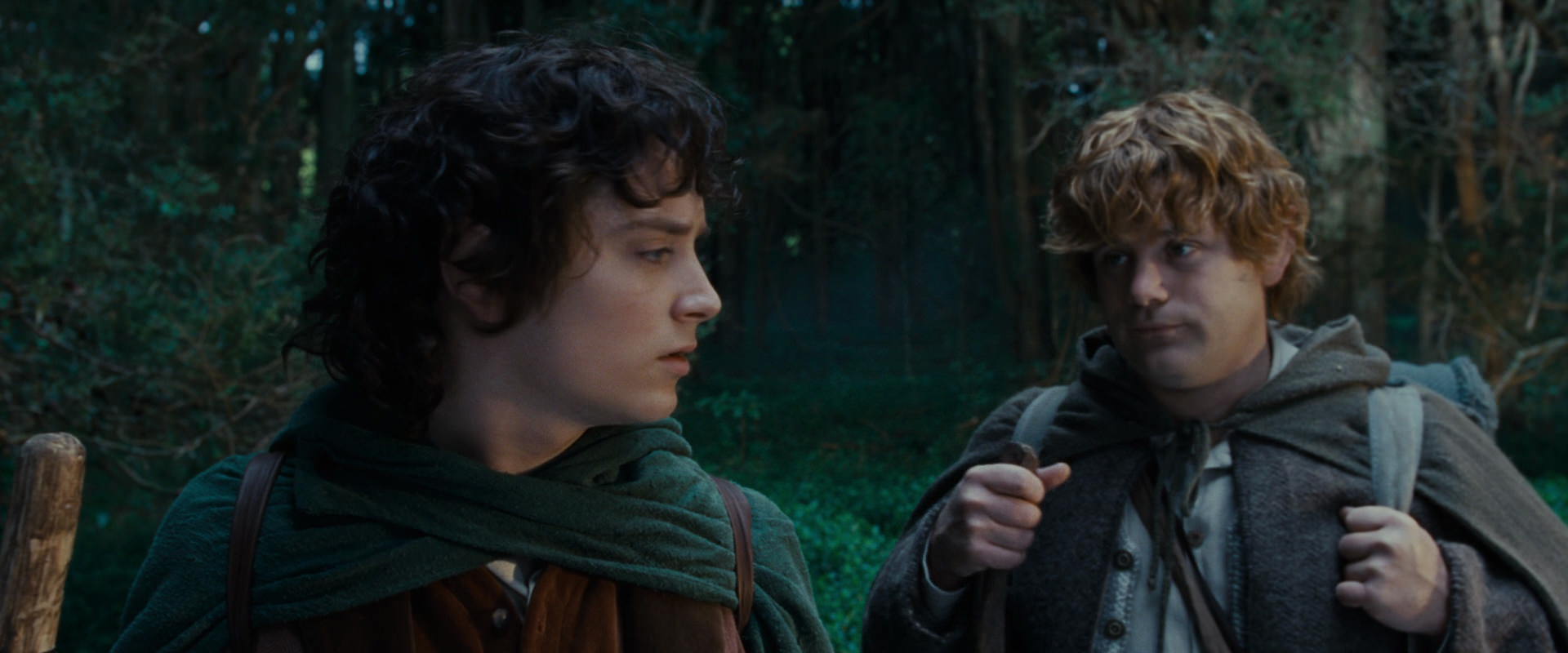 The Lord of the Rings: The Fellowship of the Ring (2001) HD screenshot 5012