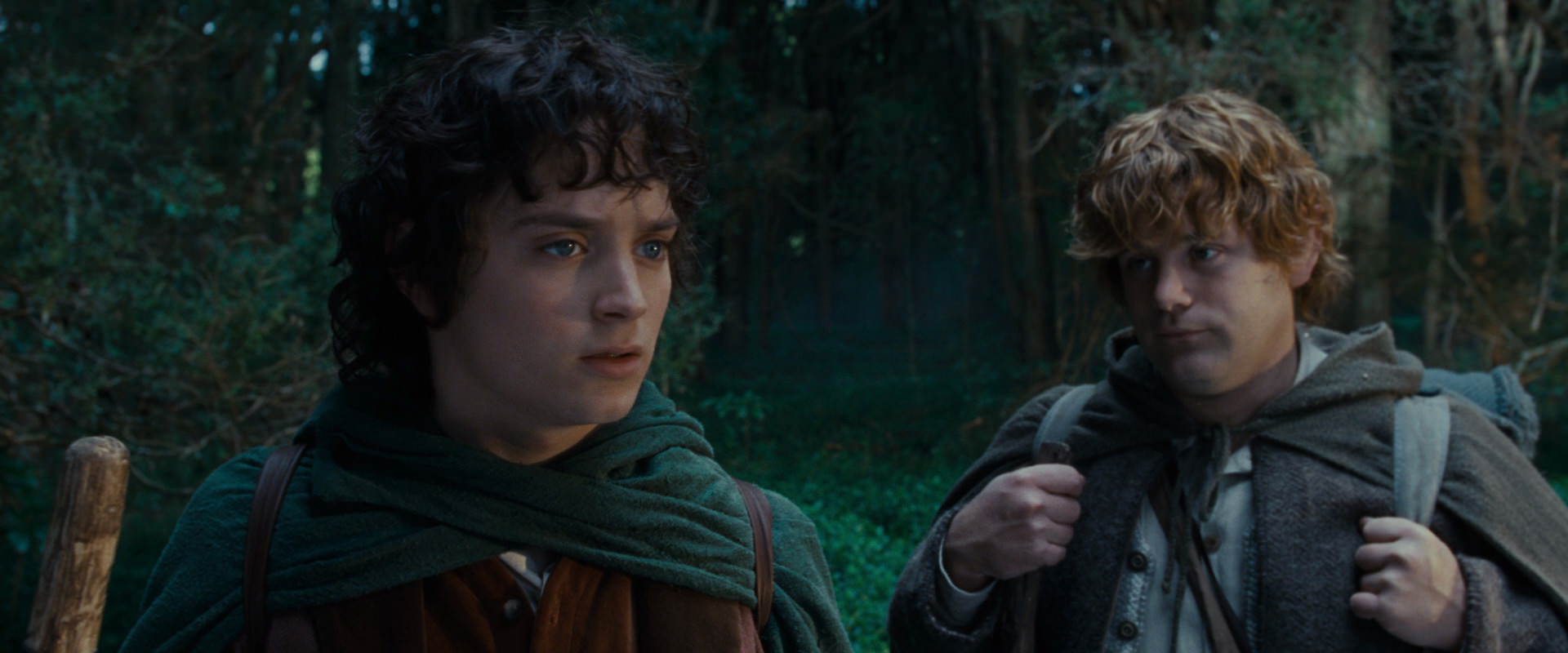 The Lord of the Rings: The Fellowship of the Ring (2001) screencap 5013