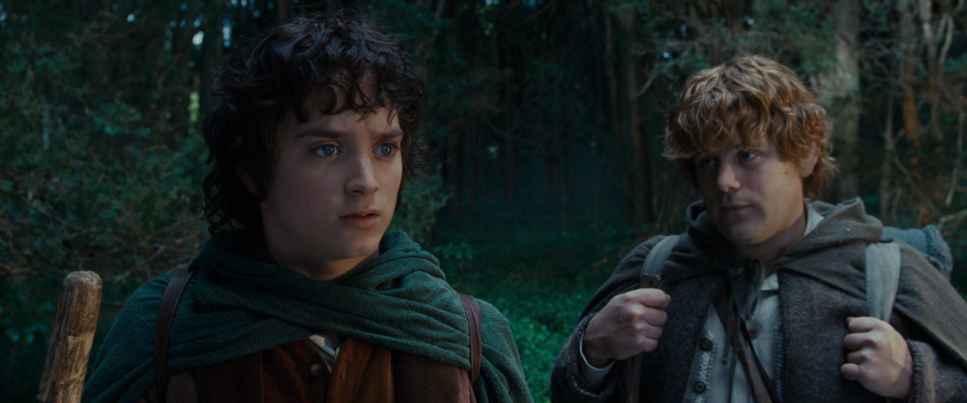 The Lord of the Rings: The Fellowship of the Ring (2001) movie still 5014