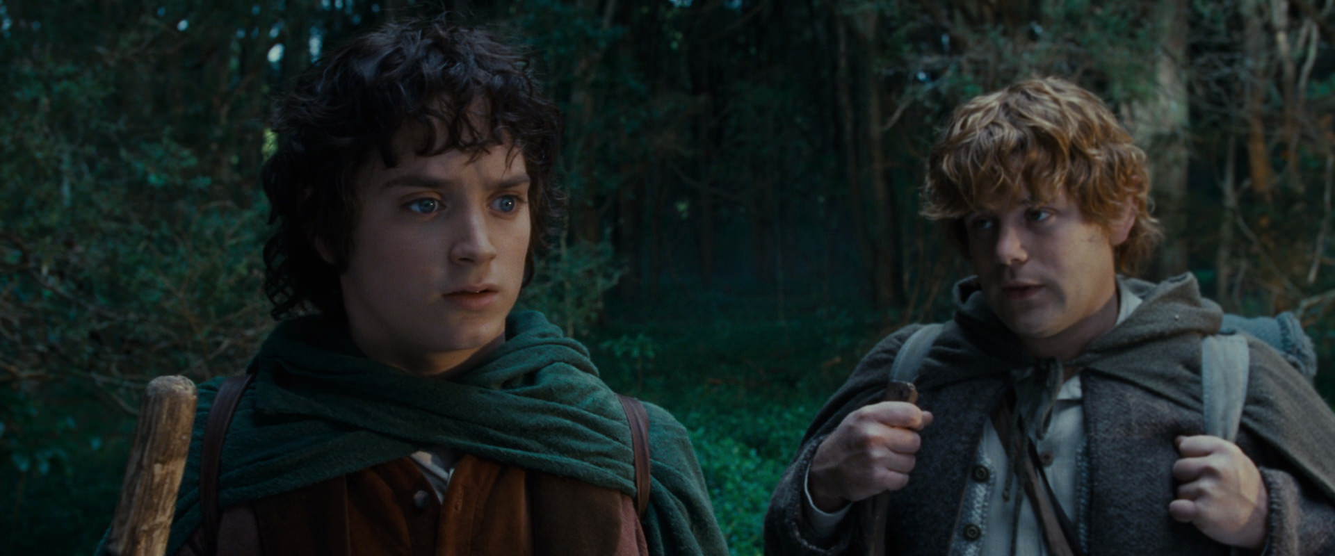 The Lord of the Rings: The Fellowship of the Ring (2001) HD screenshot 5015
