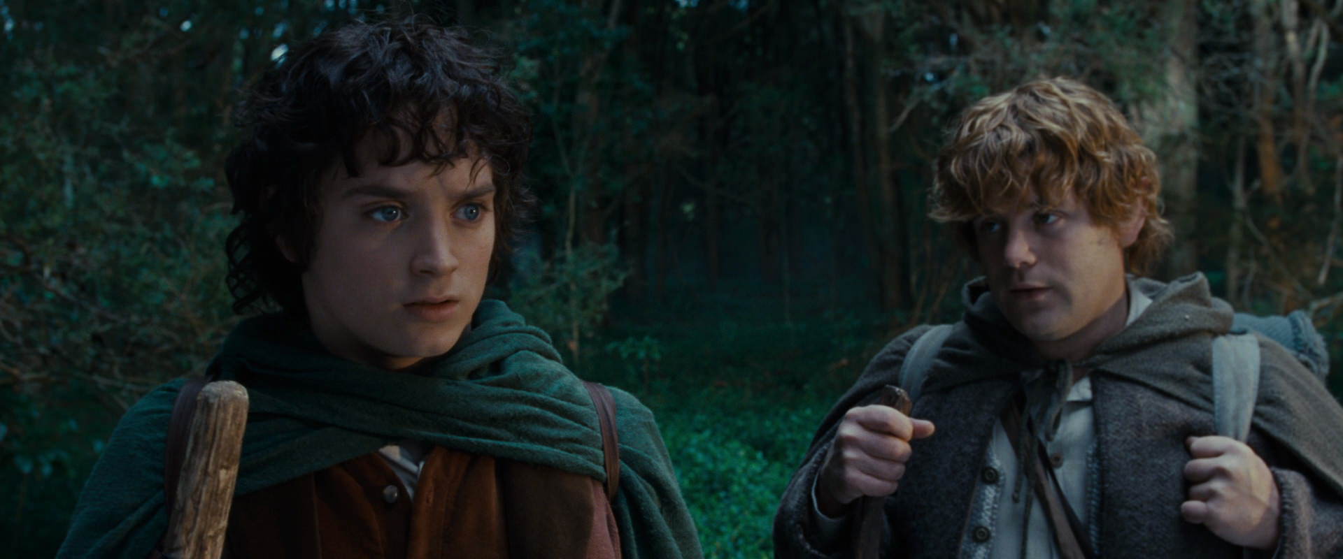 The Lord of the Rings: The Fellowship of the Ring (2001) screencap 5016