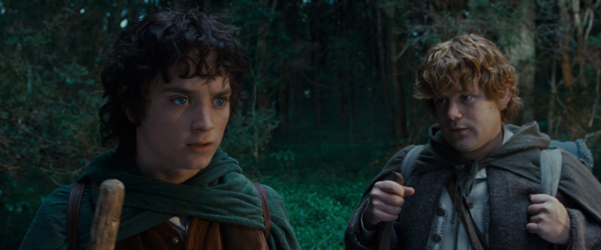 The Lord of the Rings: The Fellowship of the Ring (2001) movie still 5017