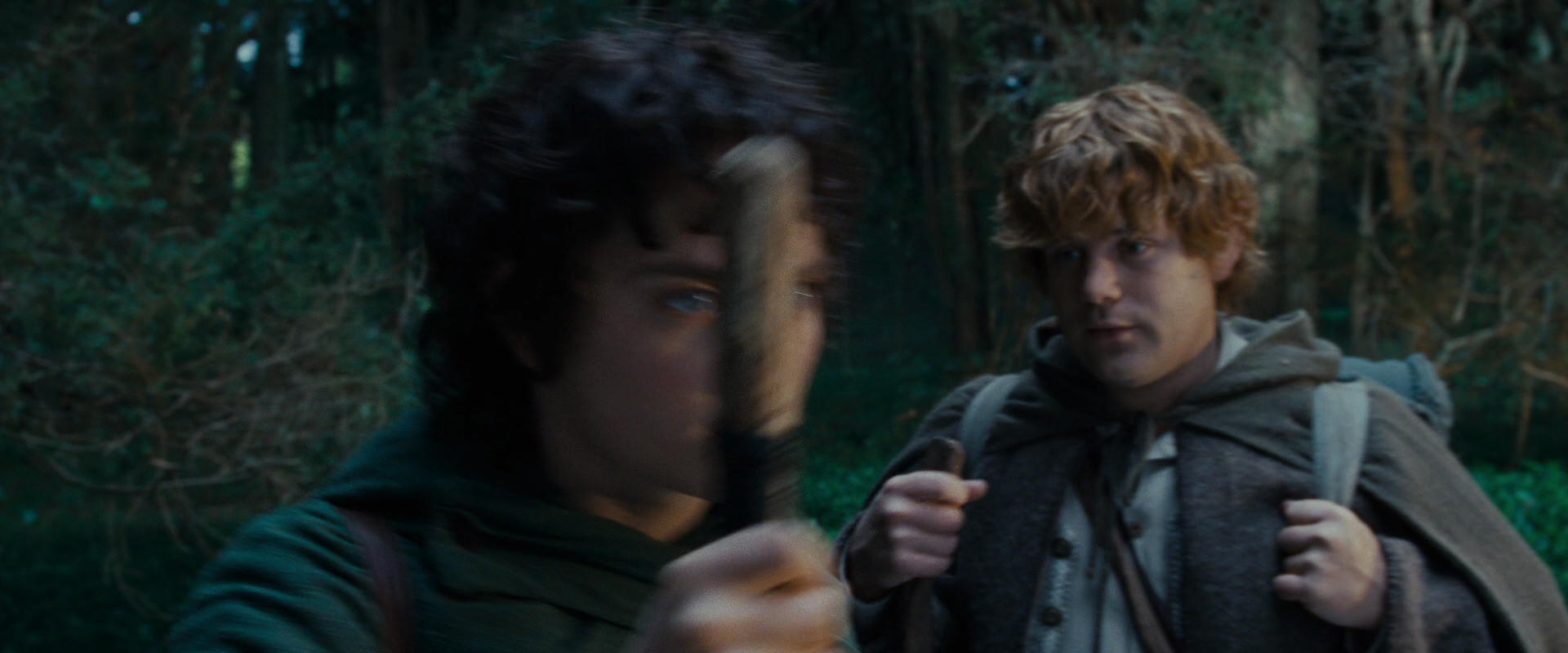 The Lord of the Rings: The Fellowship of the Ring (2001) HD screenshot 5018