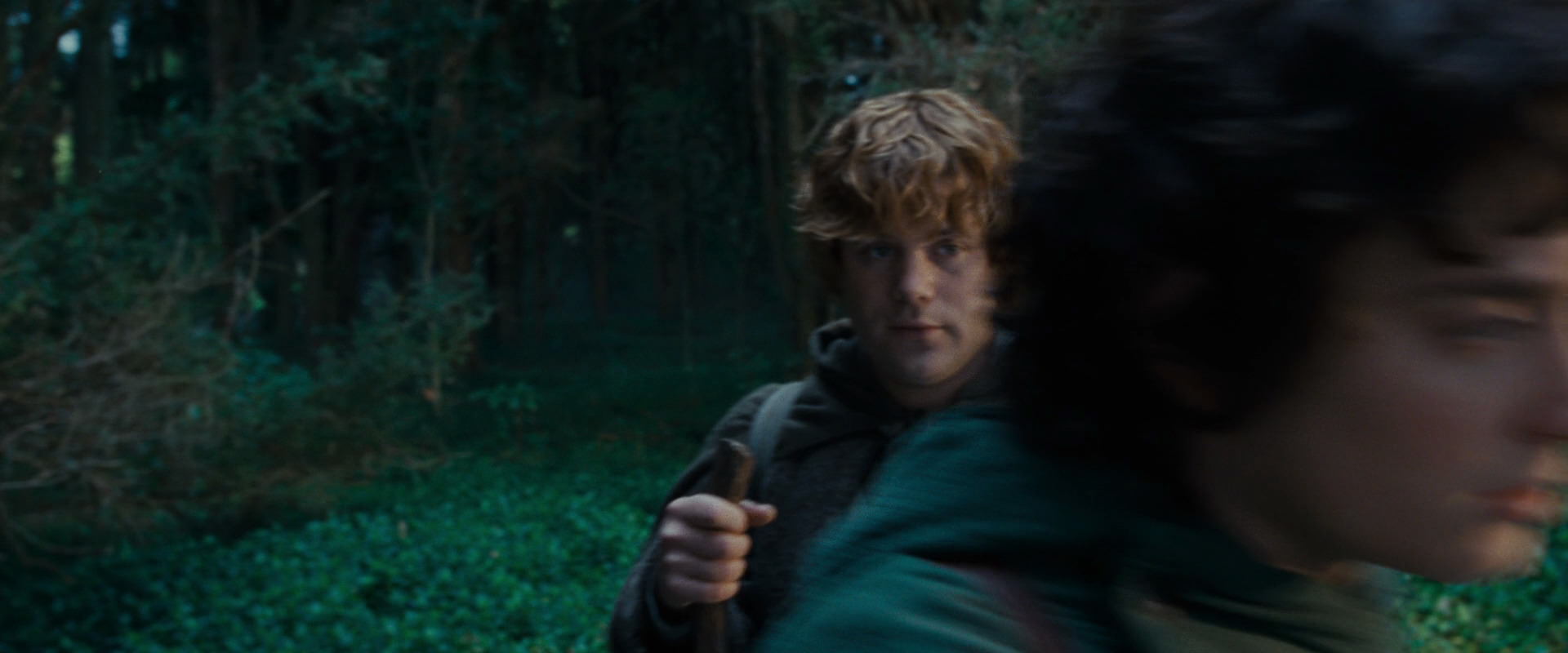 The Lord of the Rings: The Fellowship of the Ring (2001) screencap 5019