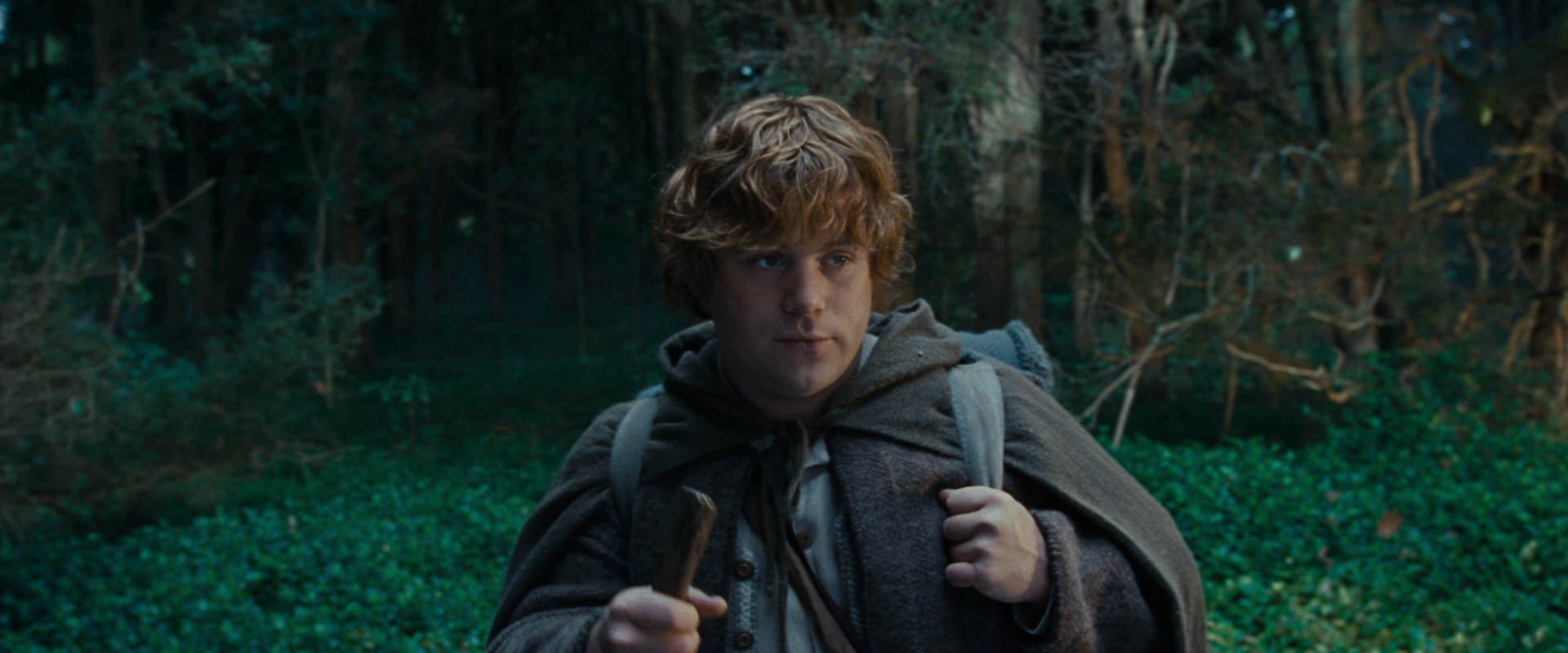 The Lord of the Rings: The Fellowship of the Ring (2001) movie still 5020