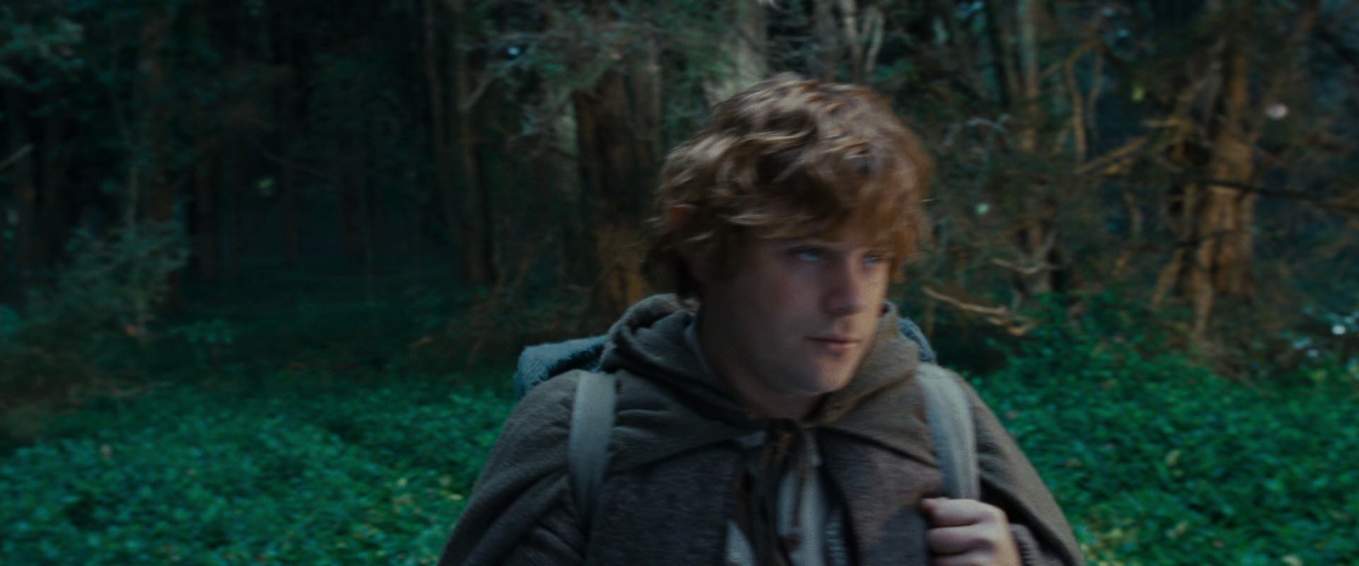 The Lord of the Rings: The Fellowship of the Ring (2001) HD screenshot 5021