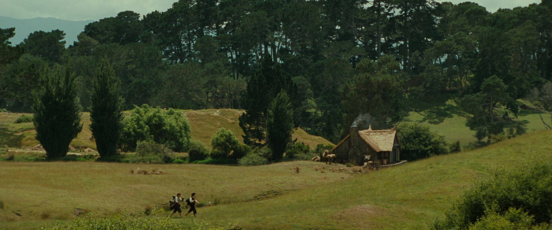 The Lord of the Rings: The Fellowship of the Ring (2001) screencap 5025