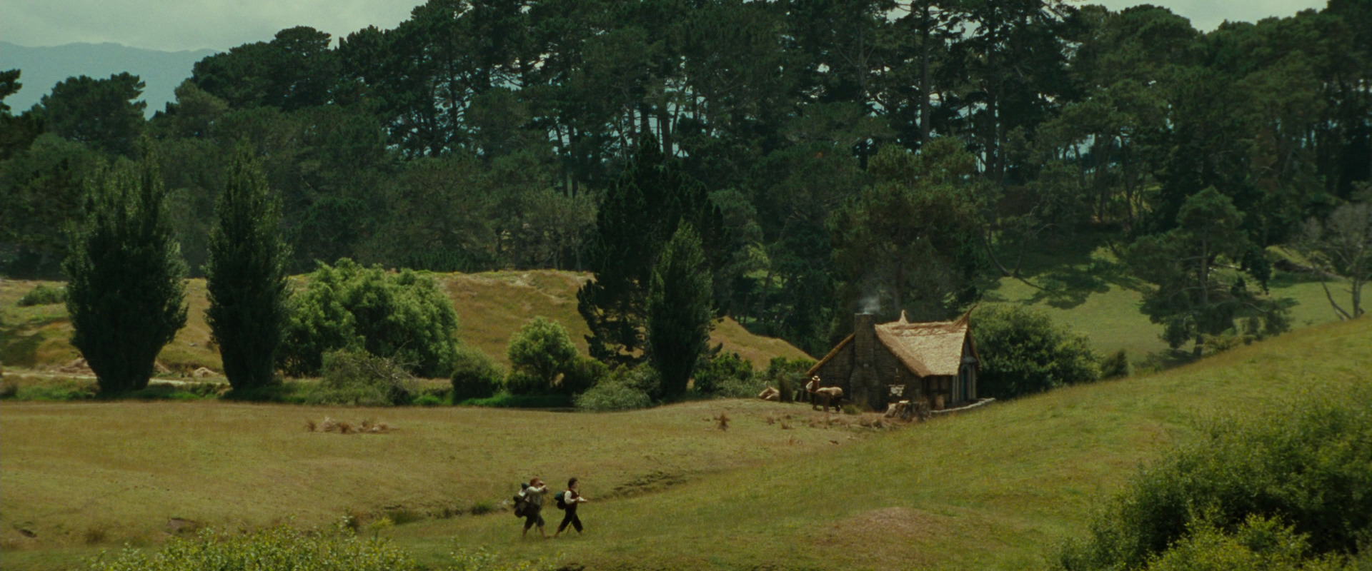 The Lord of the Rings: The Fellowship of the Ring (2001) movie still 5029