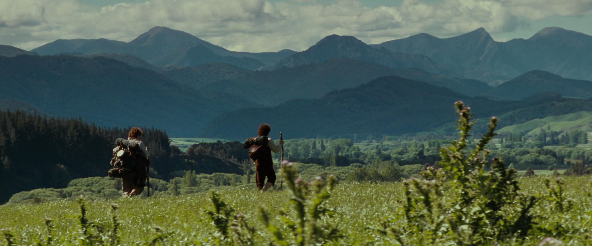 The Lord of the Rings: The Fellowship of the Ring (2001) screencap 5052