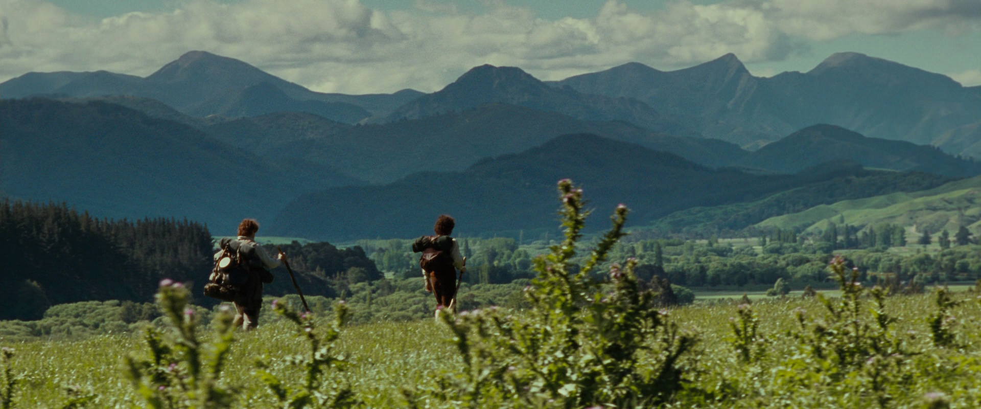 The Lord of the Rings: The Fellowship of the Ring (2001) screencap 5055