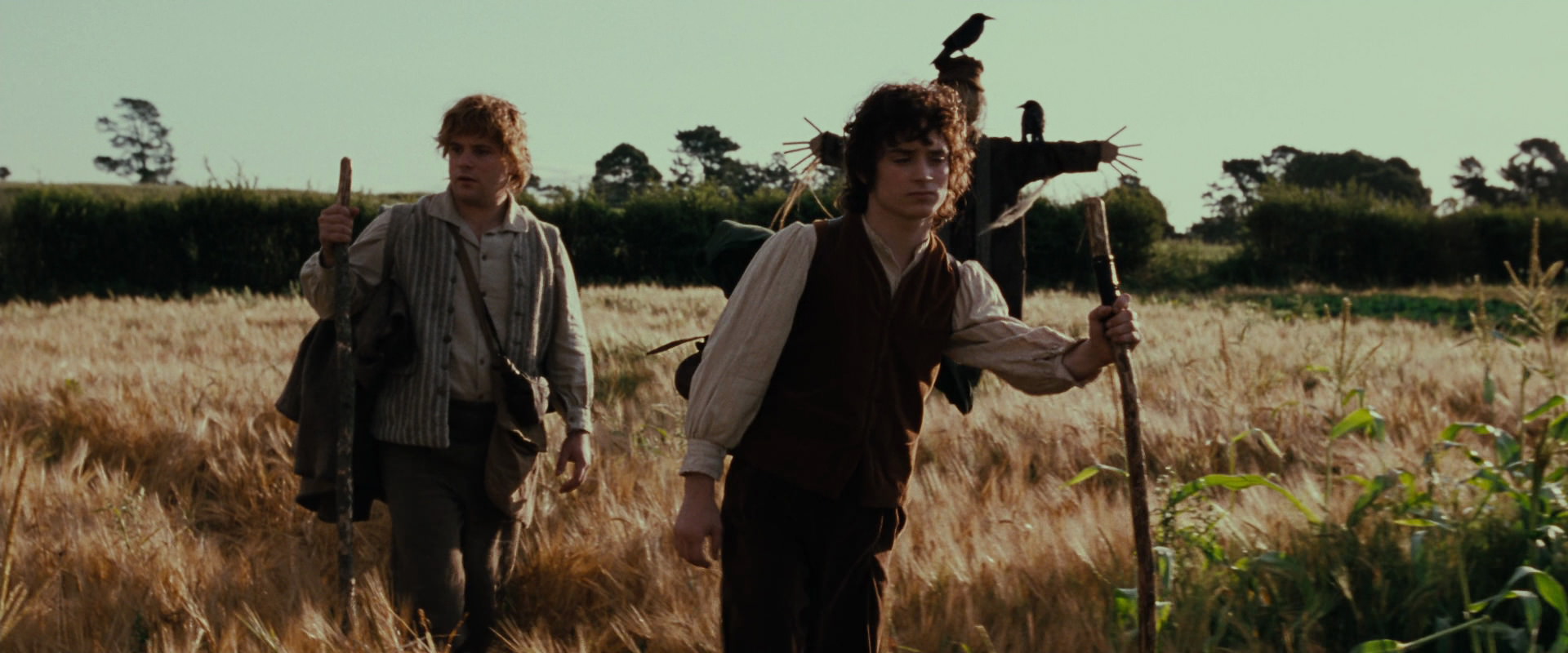 The Lord of the Rings: The Fellowship of the Ring (2001) screencap 5058