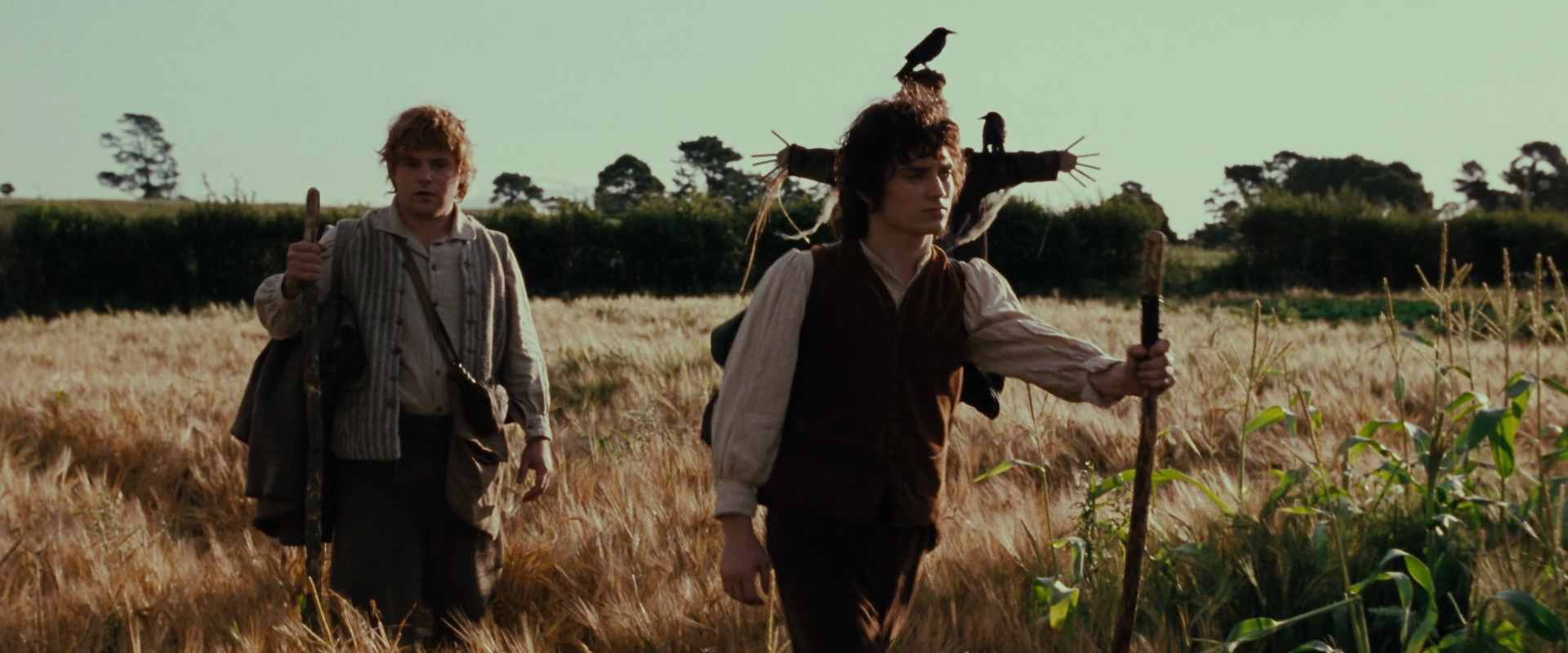 The Lord of the Rings: The Fellowship of the Ring (2001) movie still 5059