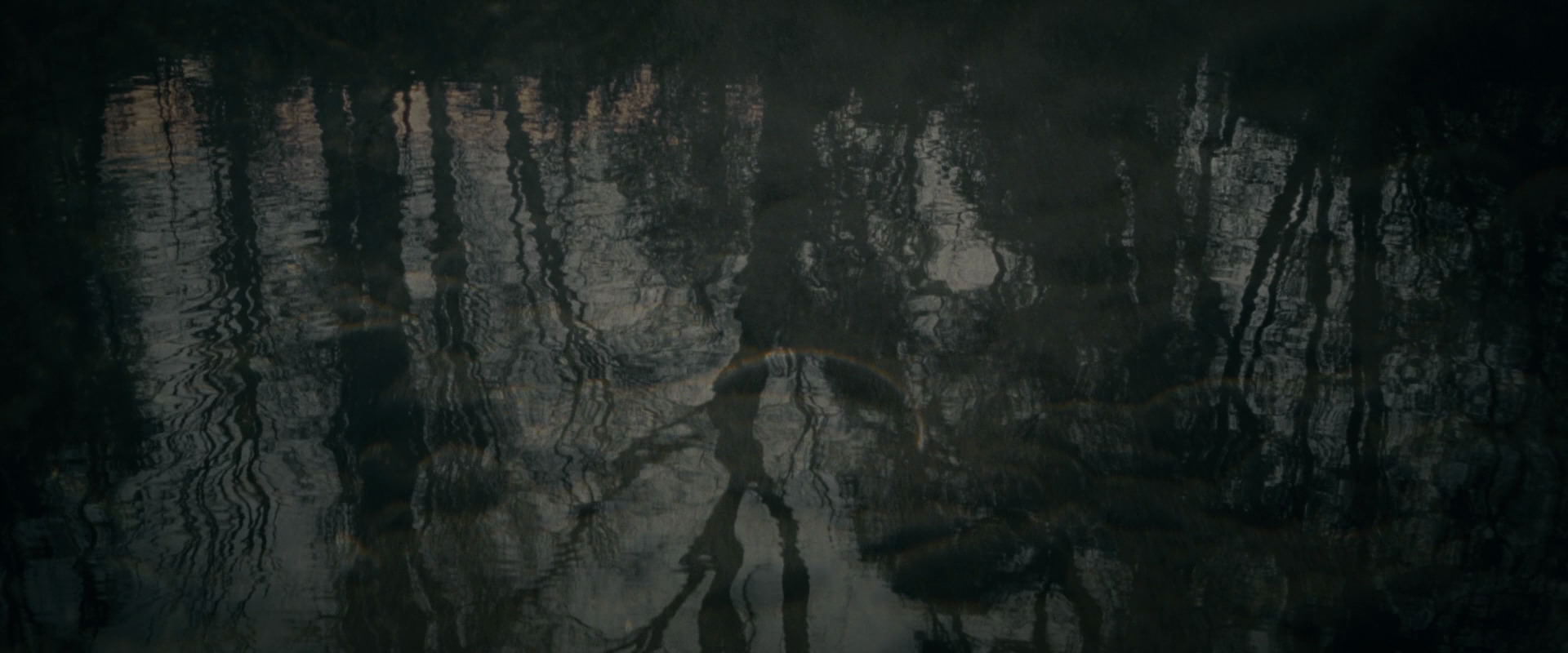 The Lord of the Rings: The Fellowship of the Ring (2001) HD screenshot 506