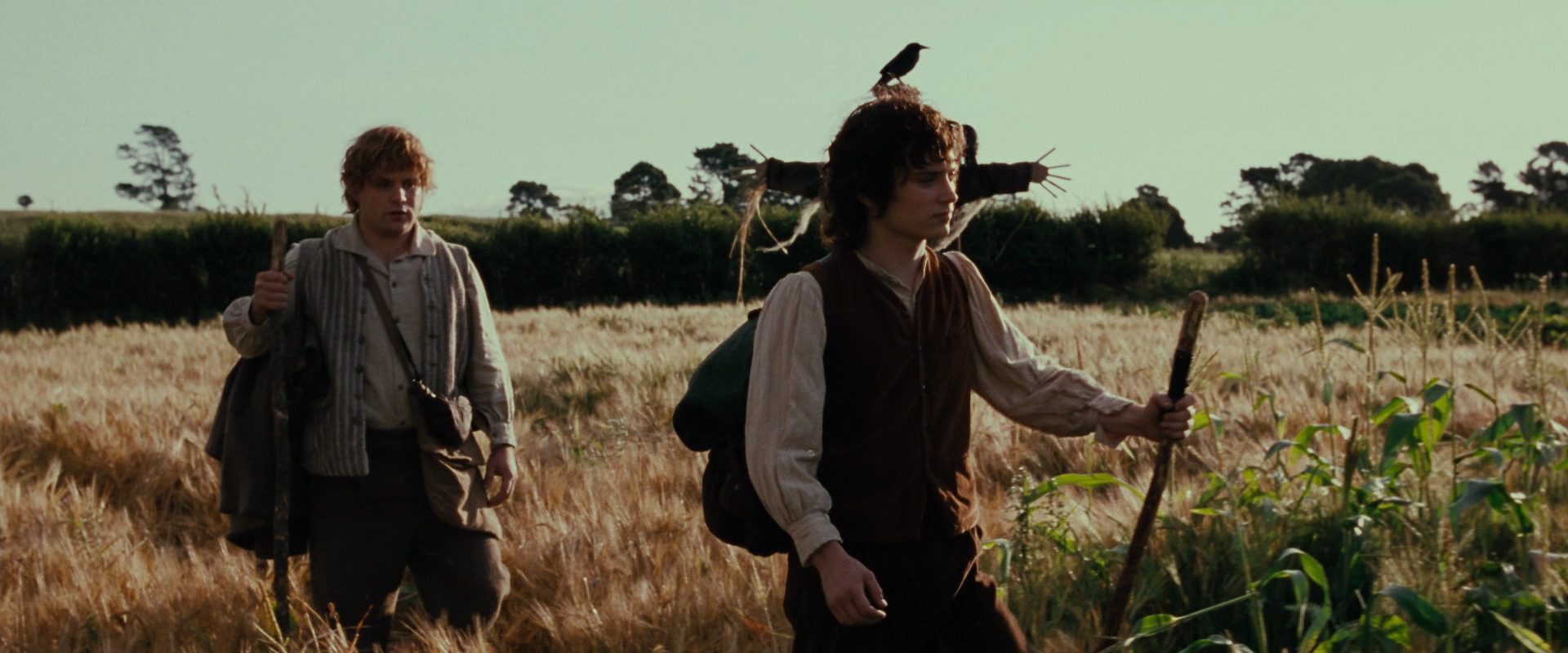 The Lord of the Rings: The Fellowship of the Ring (2001) HD screenshot 5060