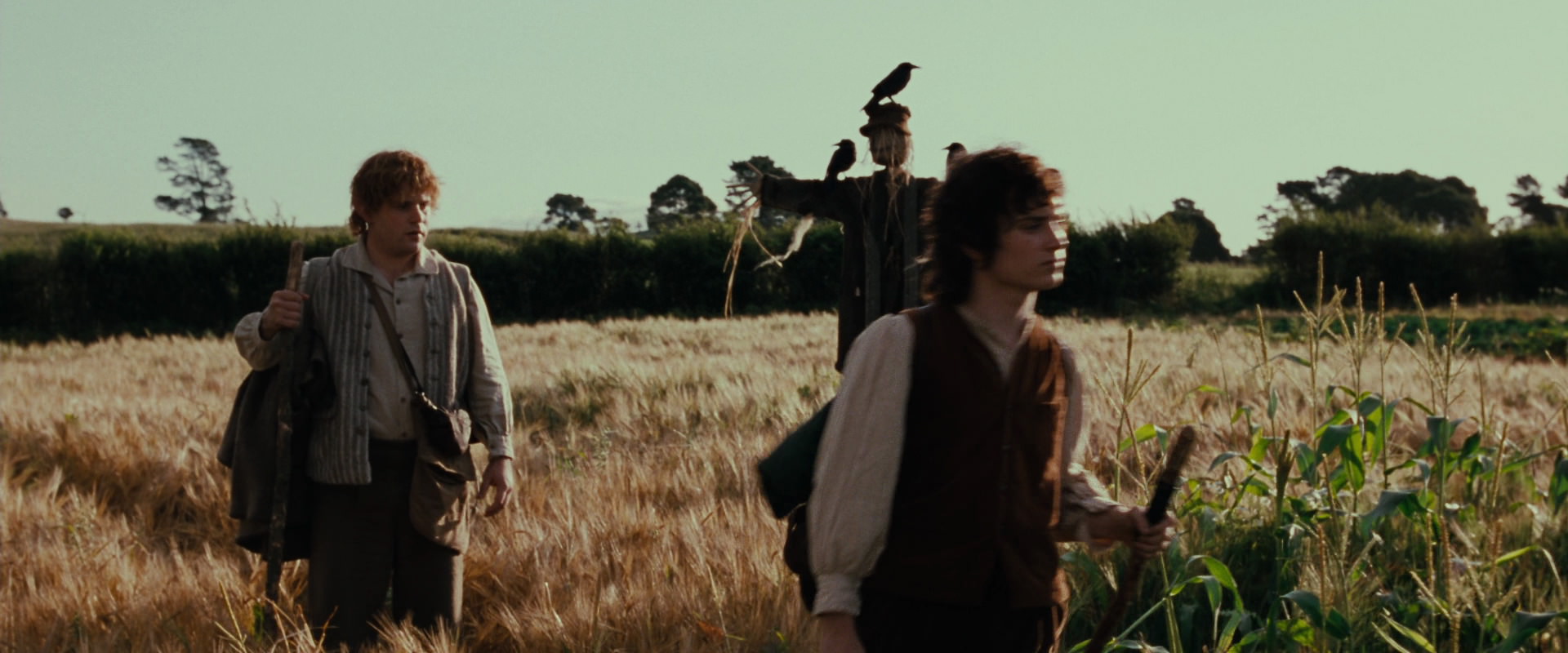 The Lord of the Rings: The Fellowship of the Ring (2001) screencap 5061