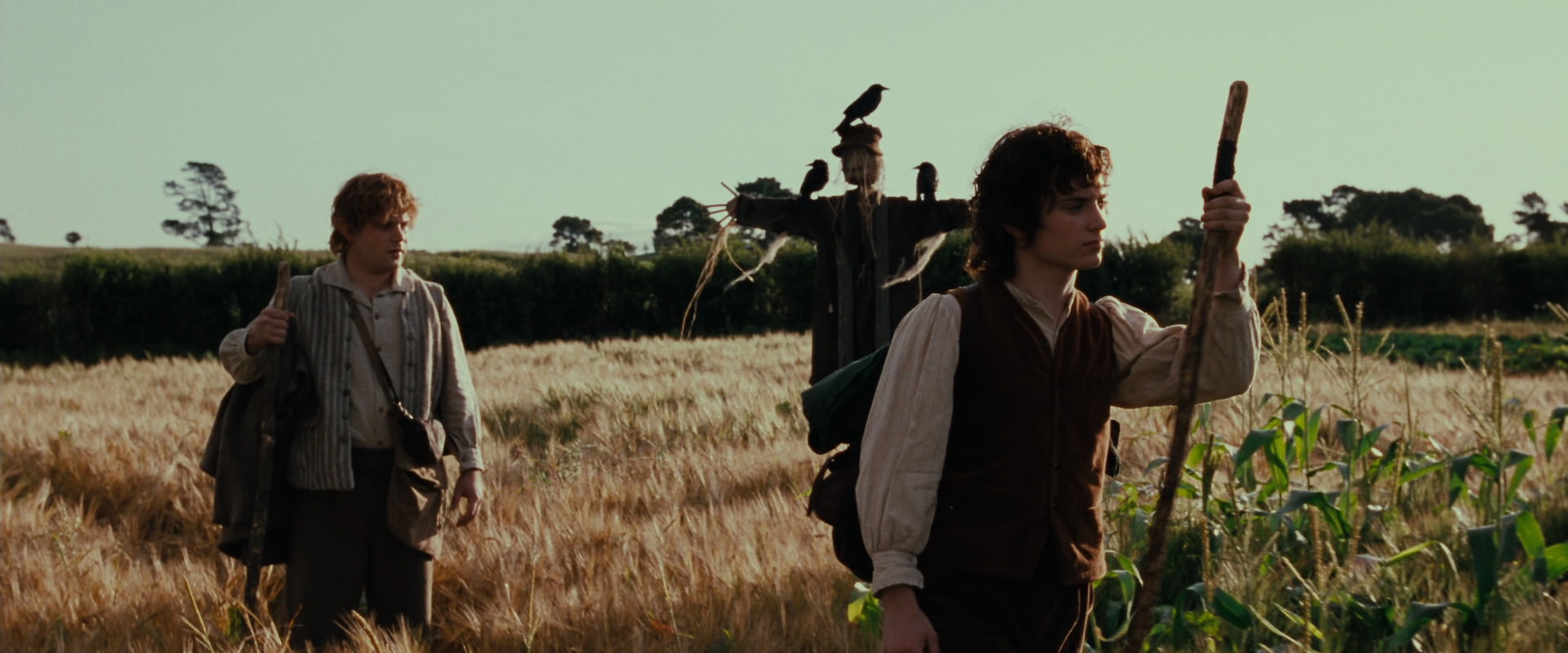 The Lord of the Rings: The Fellowship of the Ring (2001) movie still 5062