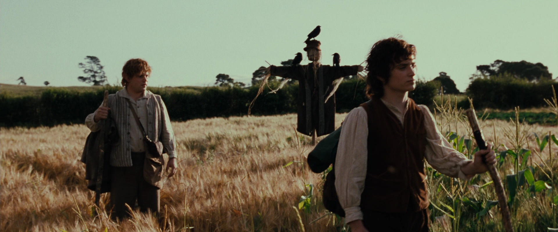 The Lord of the Rings: The Fellowship of the Ring (2001) HD screenshot 5063