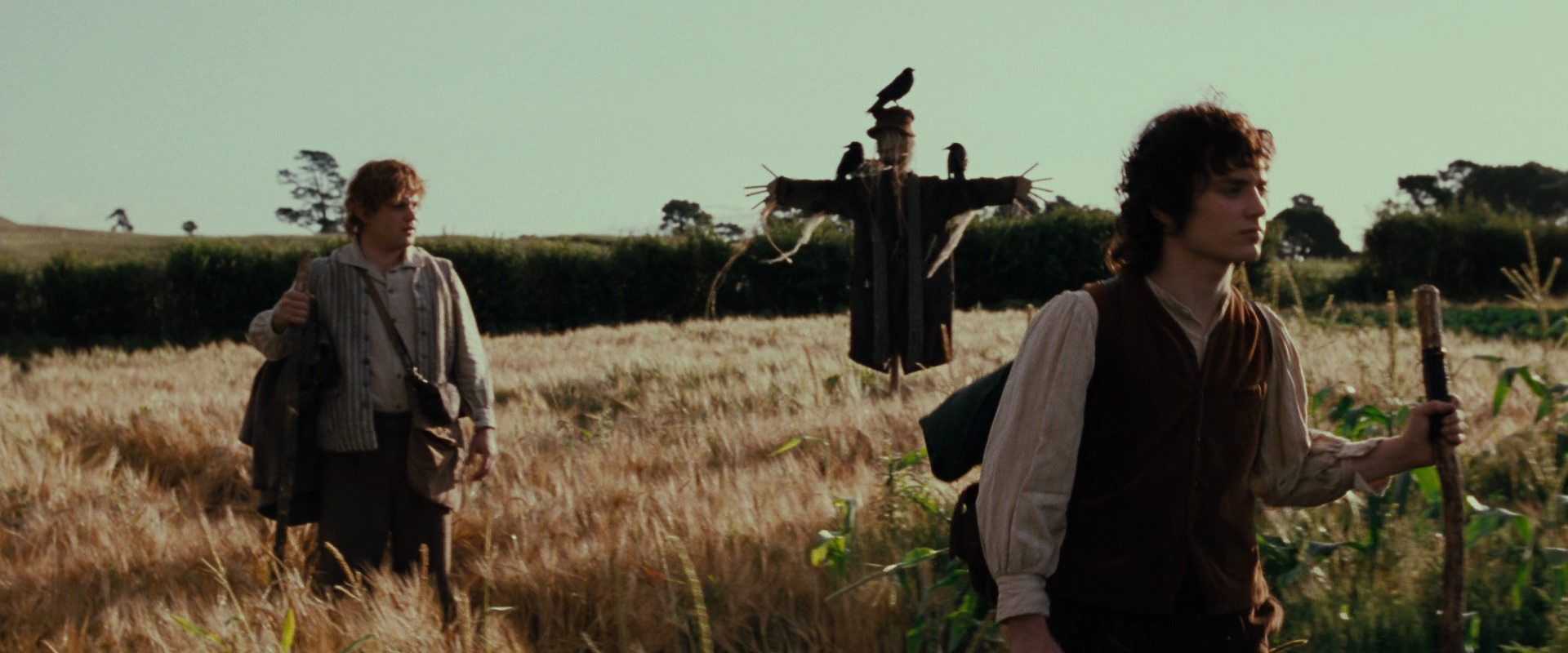 The Lord of the Rings: The Fellowship of the Ring (2001) screencap 5064