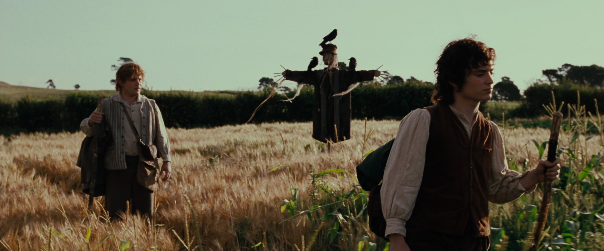 The Lord of the Rings: The Fellowship of the Ring (2001) movie still 5065