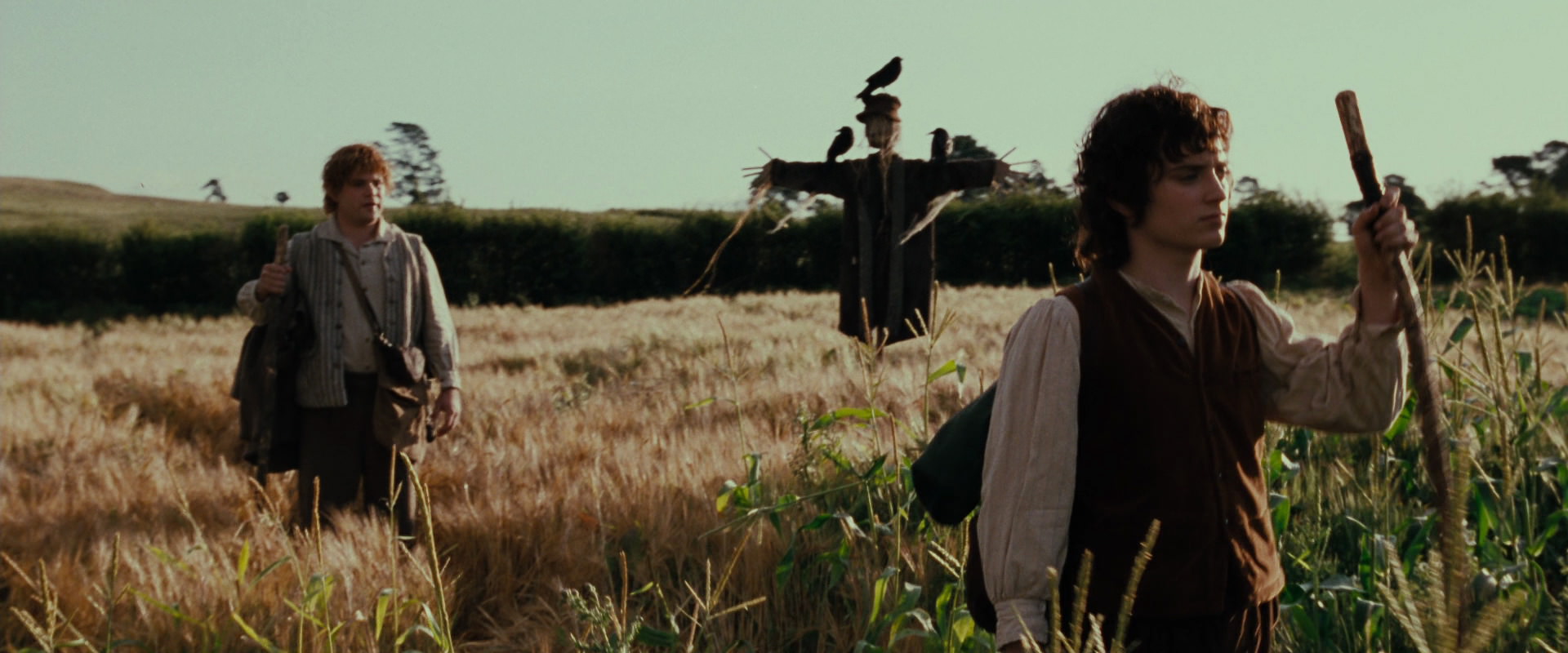 The Lord of the Rings: The Fellowship of the Ring (2001) HD screenshot 5066