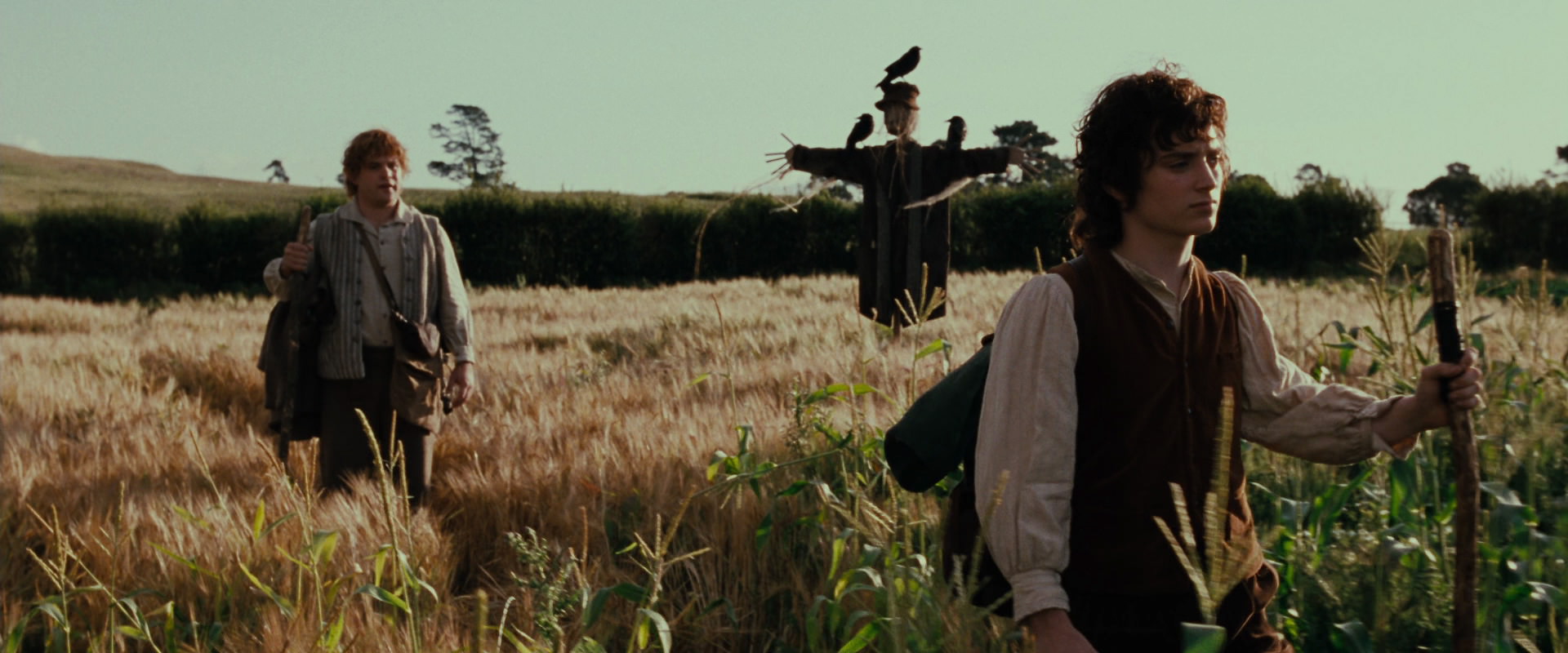 The Lord of the Rings: The Fellowship of the Ring (2001) screencap 5067