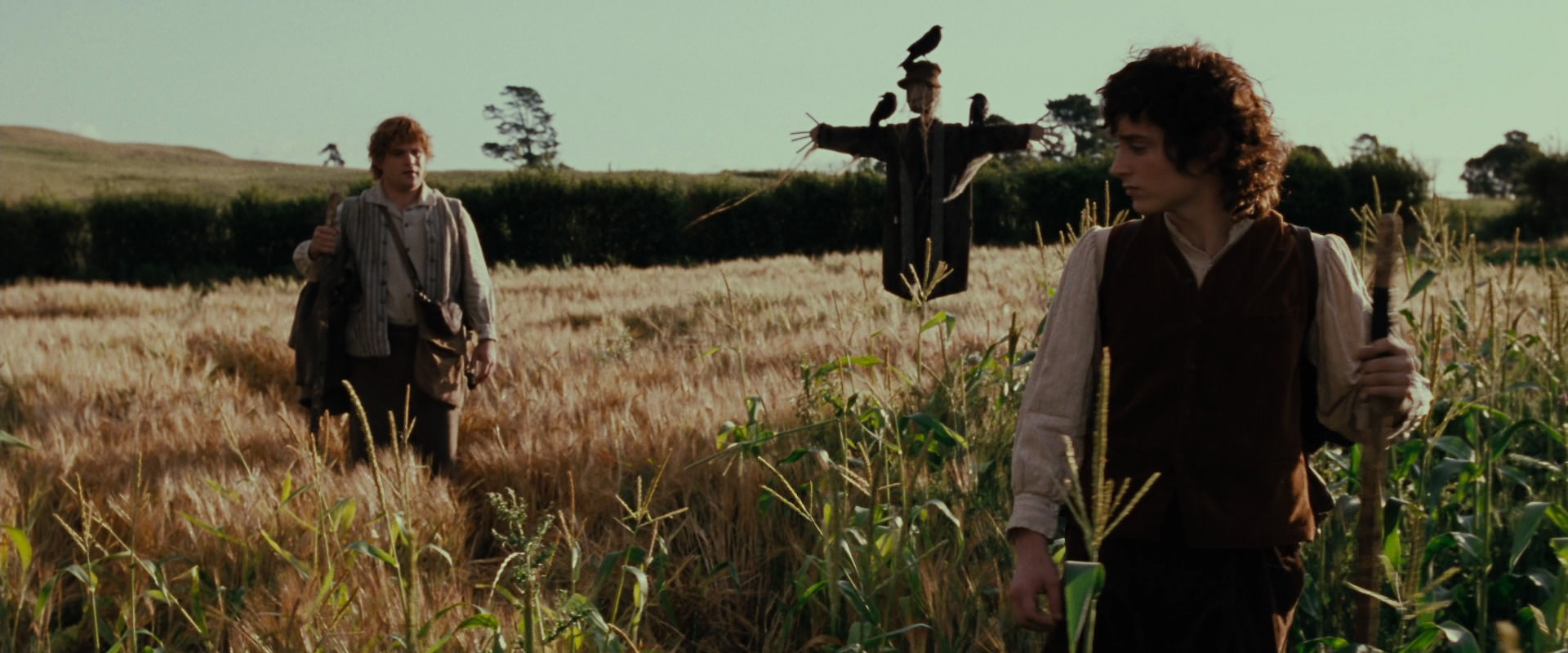 The Lord of the Rings: The Fellowship of the Ring (2001) movie still 5068