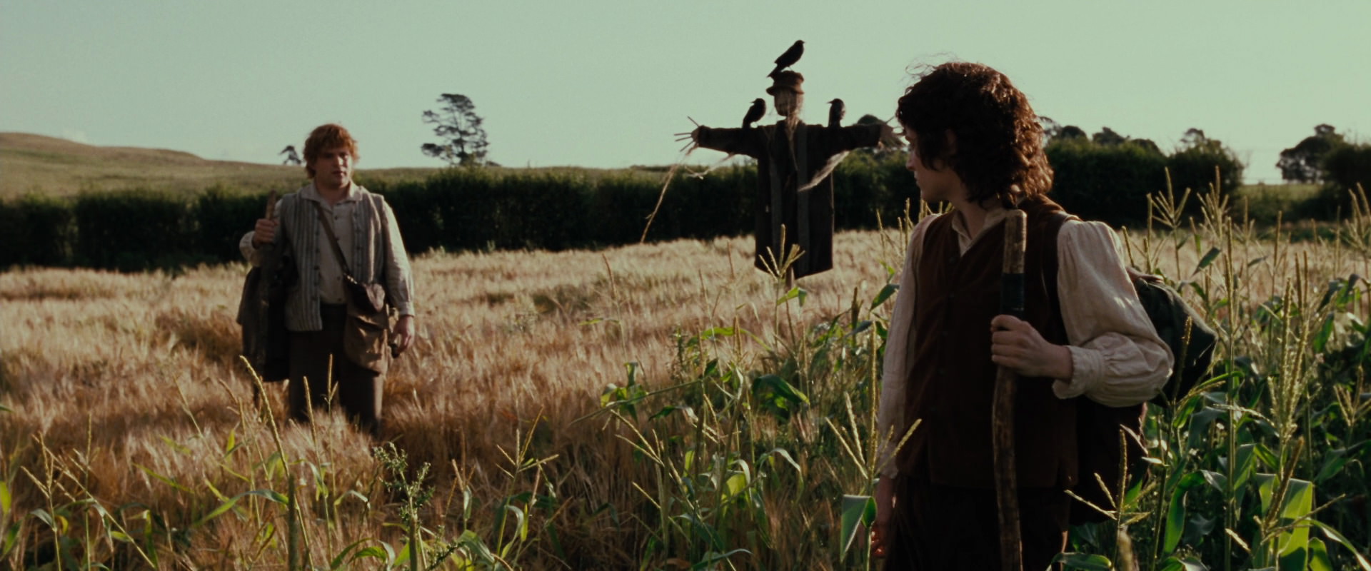 The Lord of the Rings: The Fellowship of the Ring (2001) HD screenshot 5069