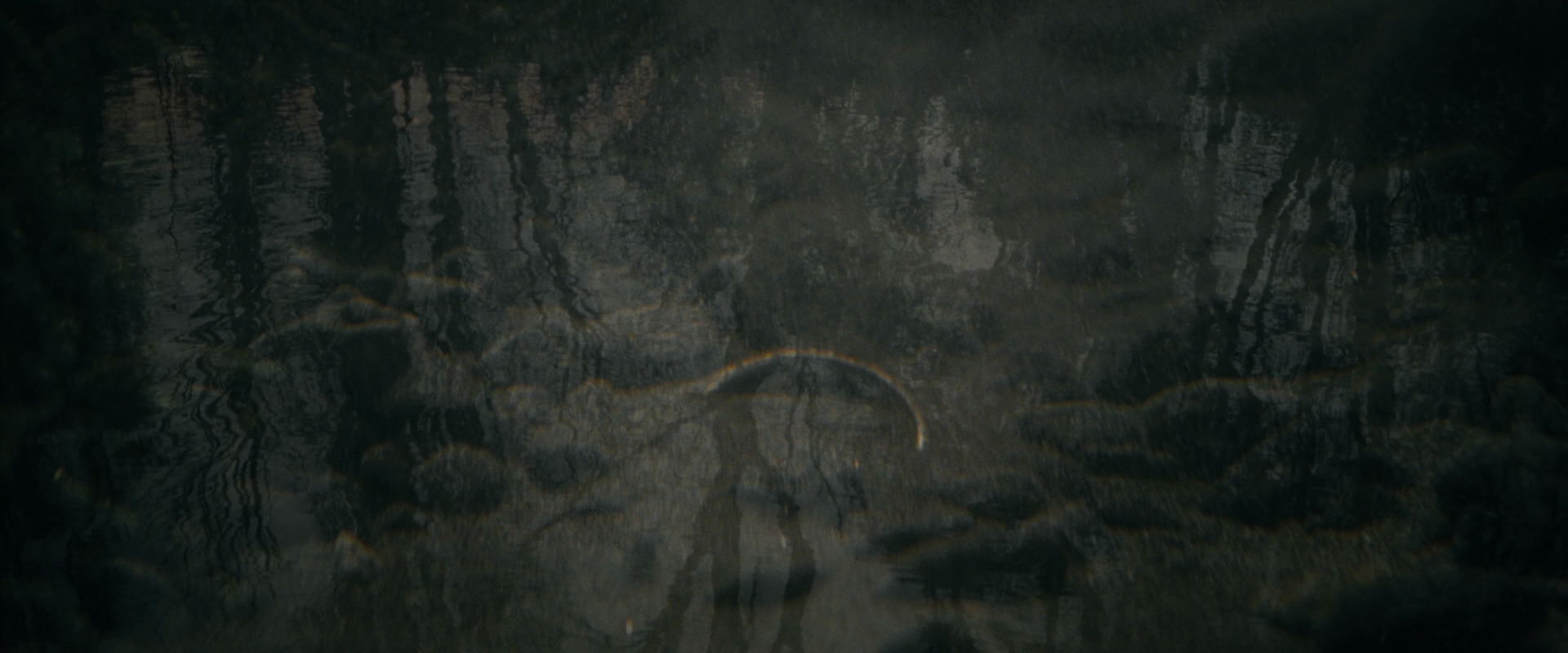 The Lord of the Rings: The Fellowship of the Ring (2001) screencap 507