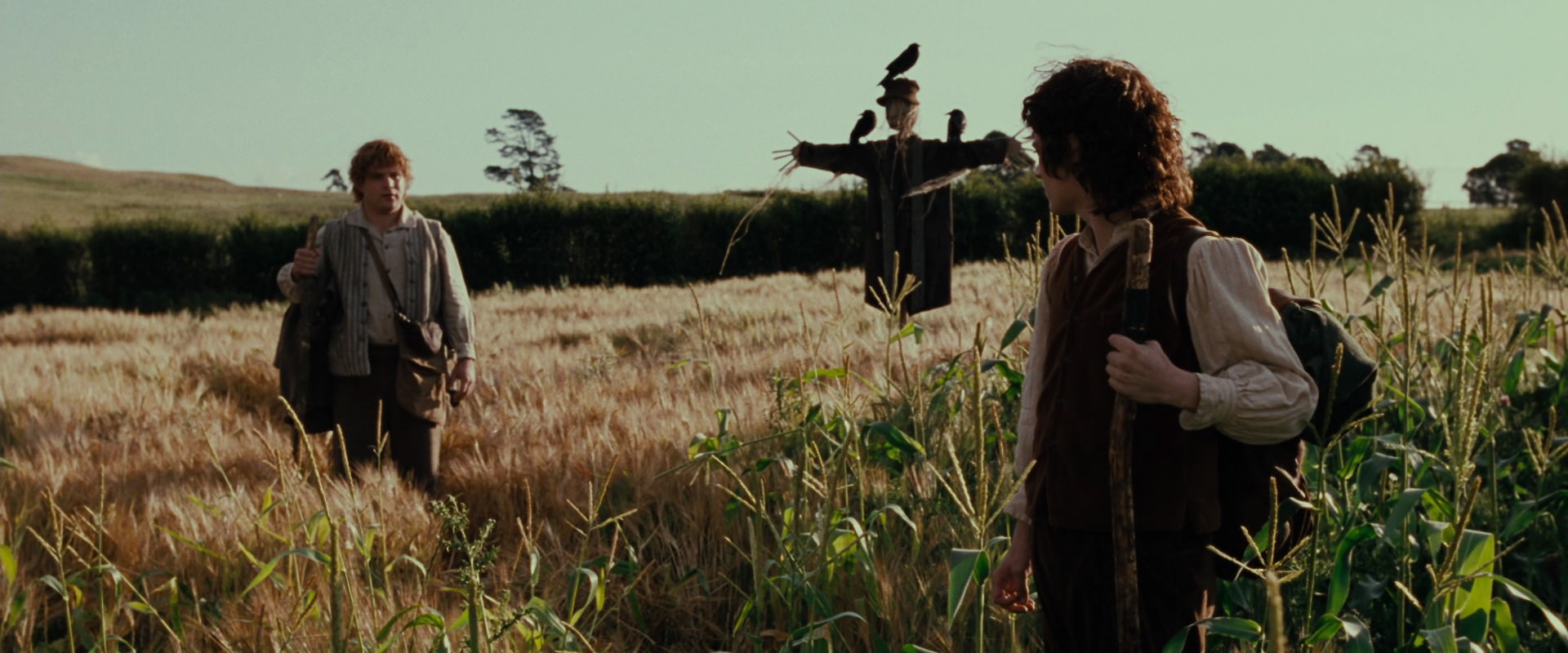 The Lord of the Rings: The Fellowship of the Ring (2001) screencap 5070