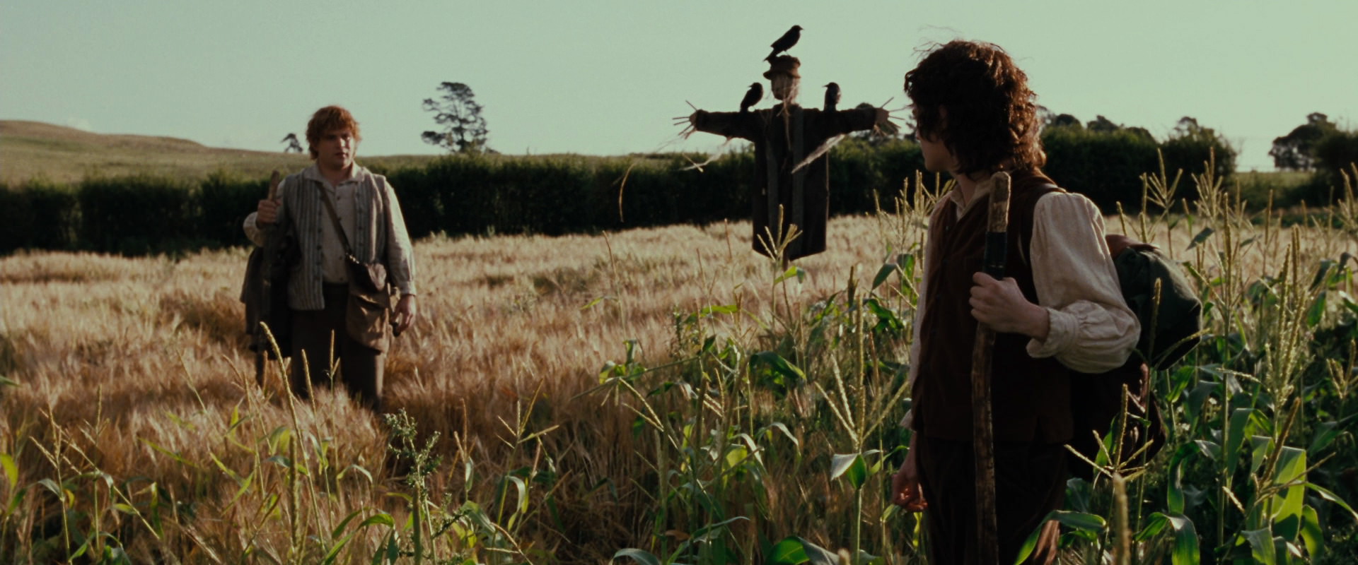 The Lord of the Rings: The Fellowship of the Ring (2001) movie still 5071