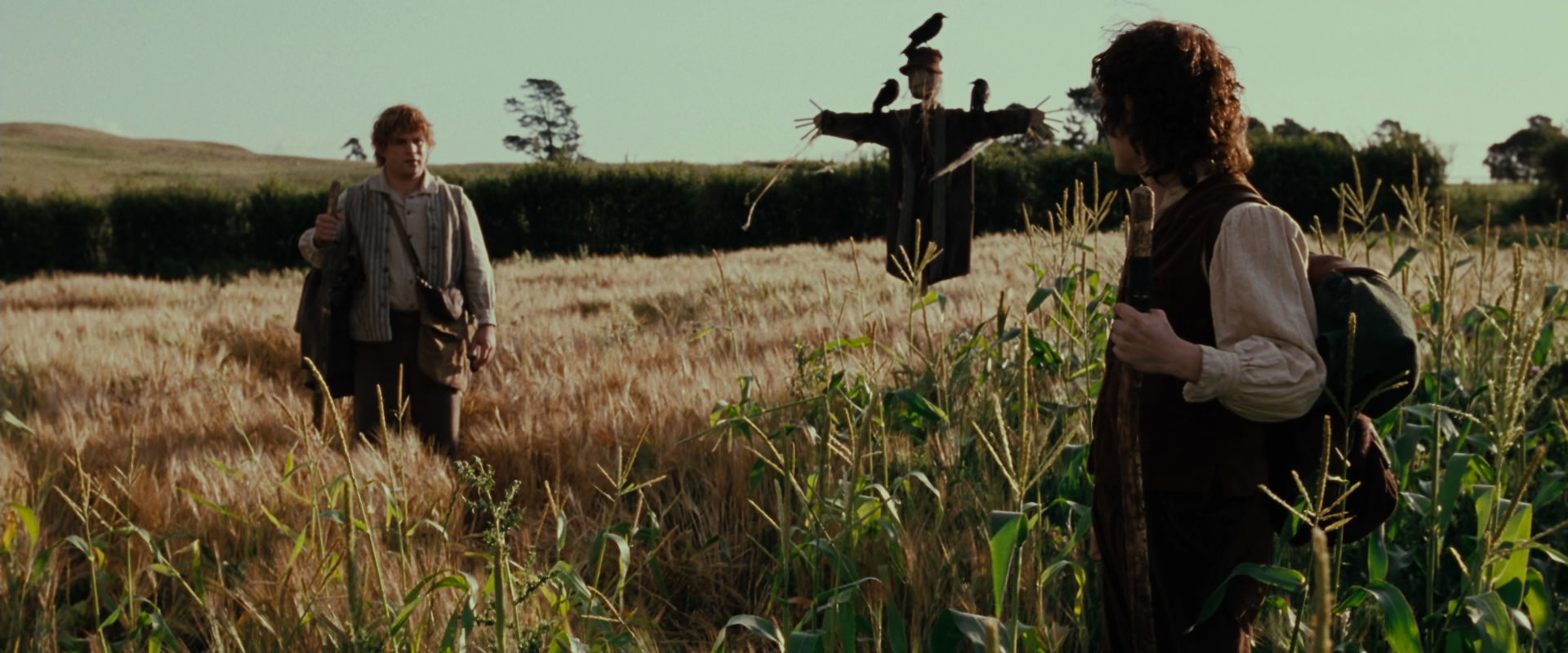 The Lord of the Rings: The Fellowship of the Ring (2001) HD screenshot 5072