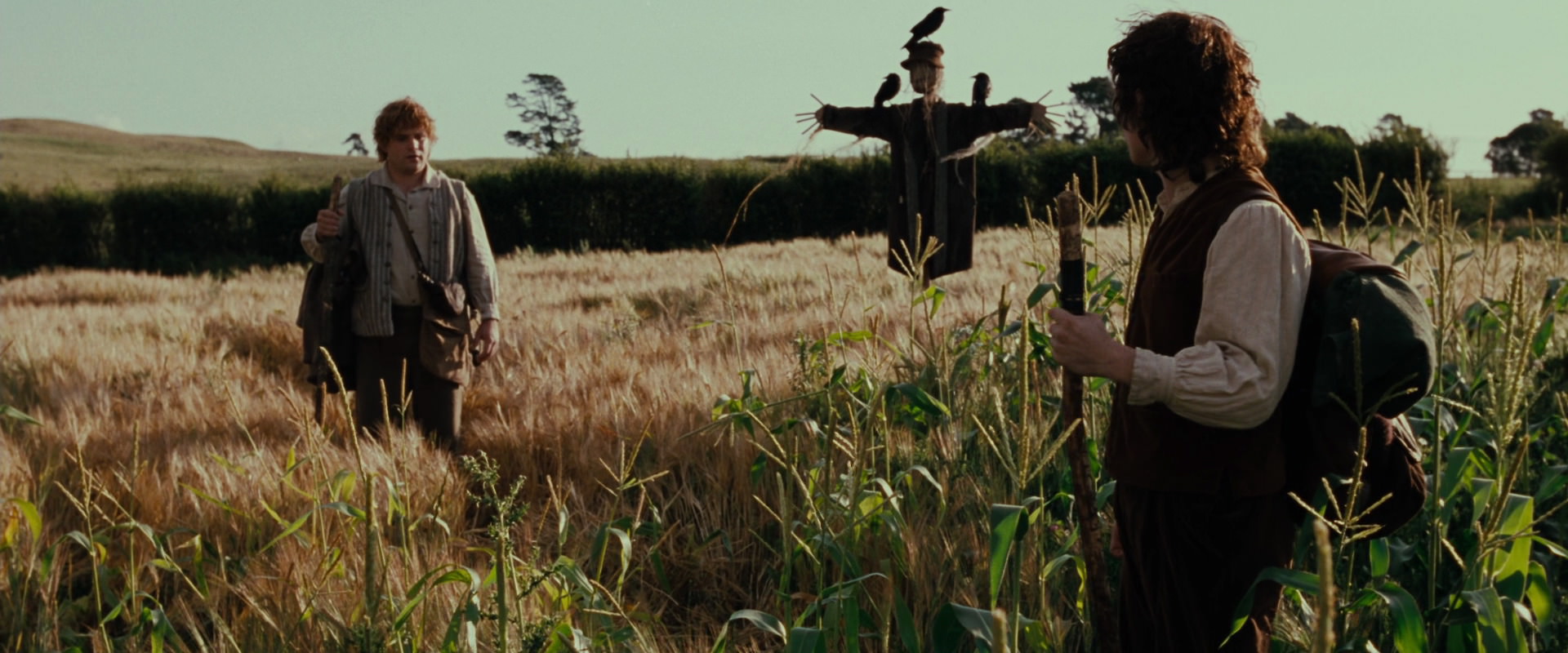 The Lord of the Rings: The Fellowship of the Ring (2001) screencap 5073