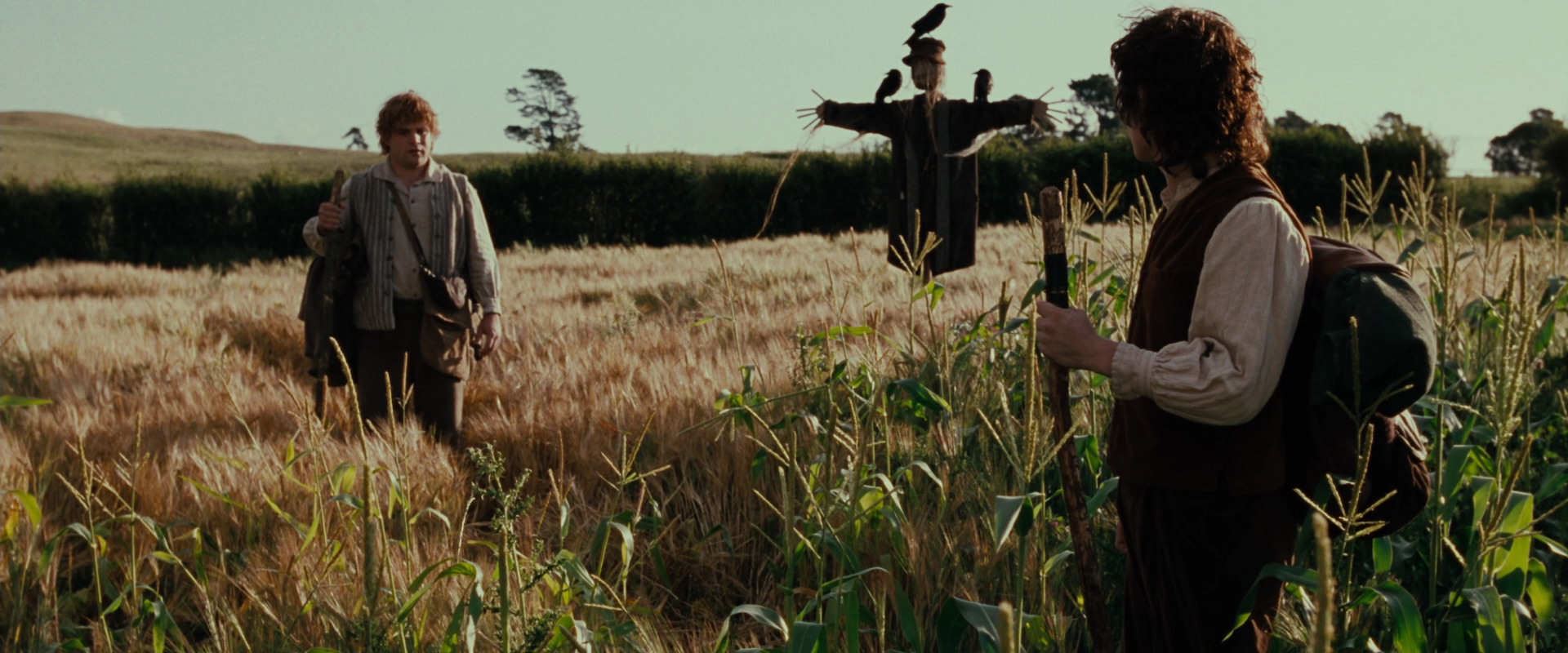 The Lord of the Rings: The Fellowship of the Ring (2001) movie still 5074