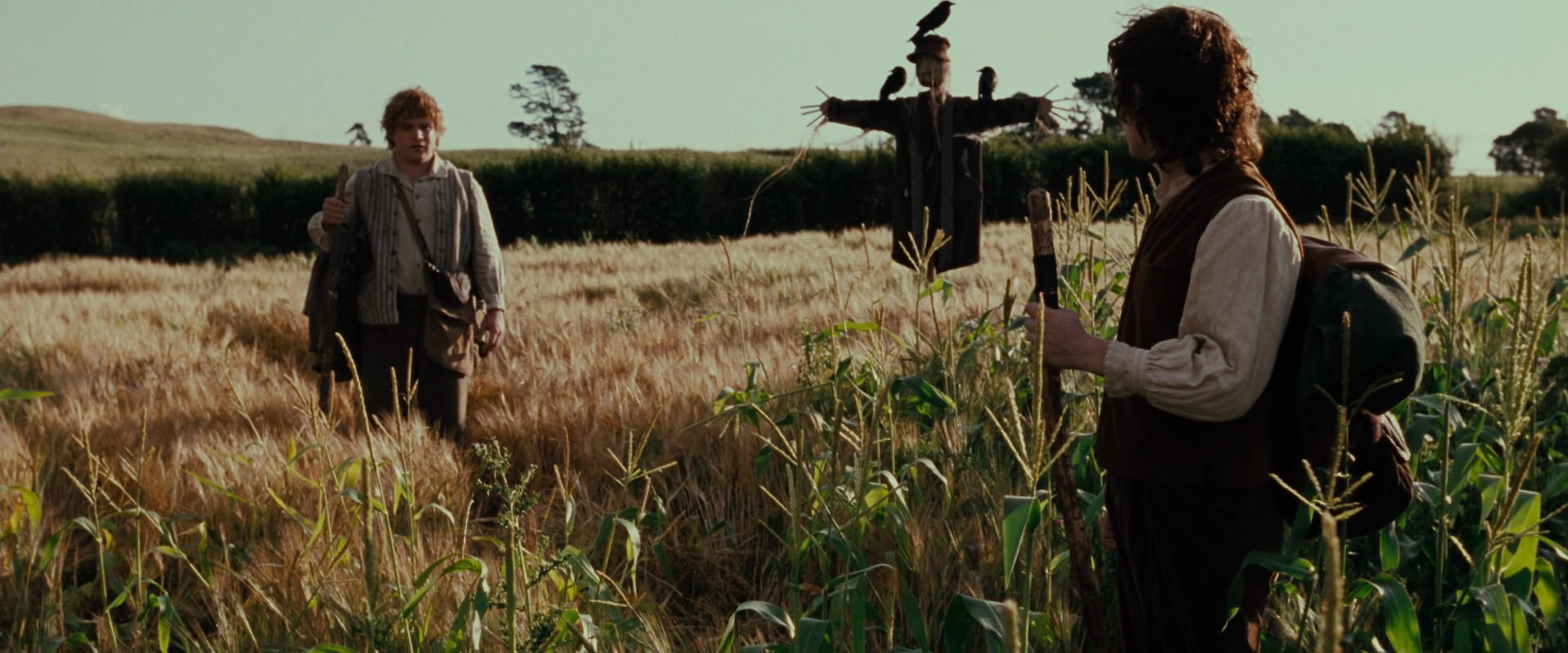 The Lord of the Rings: The Fellowship of the Ring (2001) HD screenshot 5075