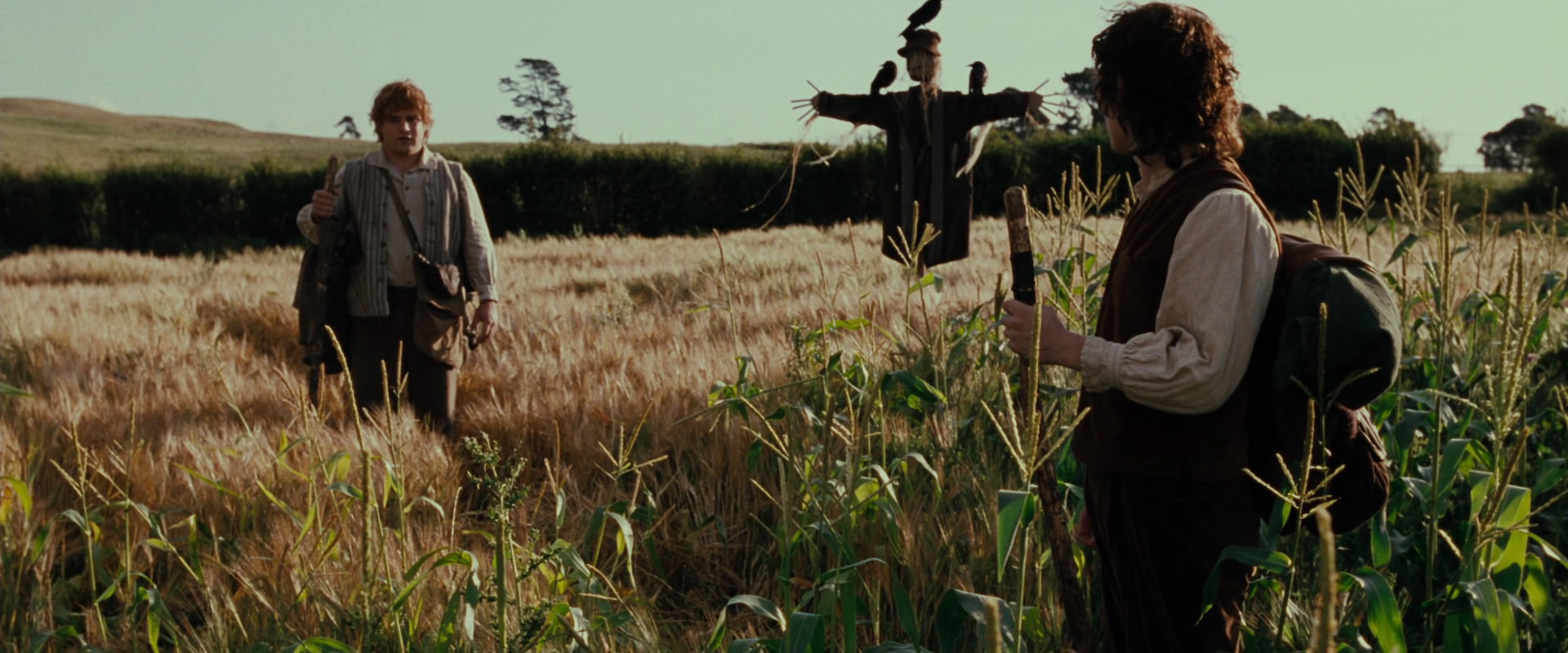 The Lord of the Rings: The Fellowship of the Ring (2001) screencap 5076