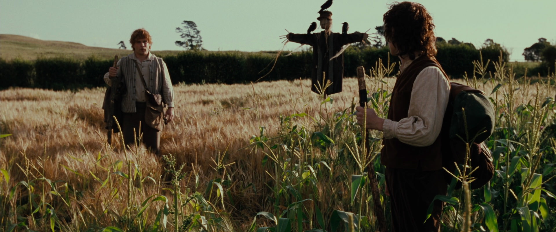 The Lord of the Rings: The Fellowship of the Ring (2001) movie still 5077