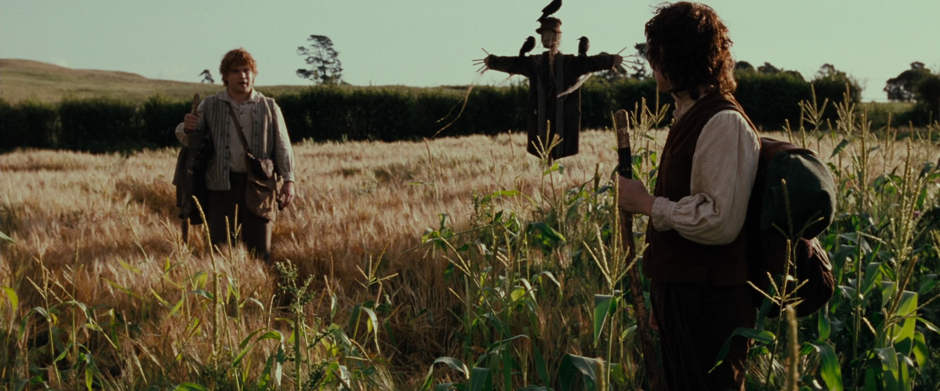 The Lord of the Rings: The Fellowship of the Ring (2001) HD screenshot 5078