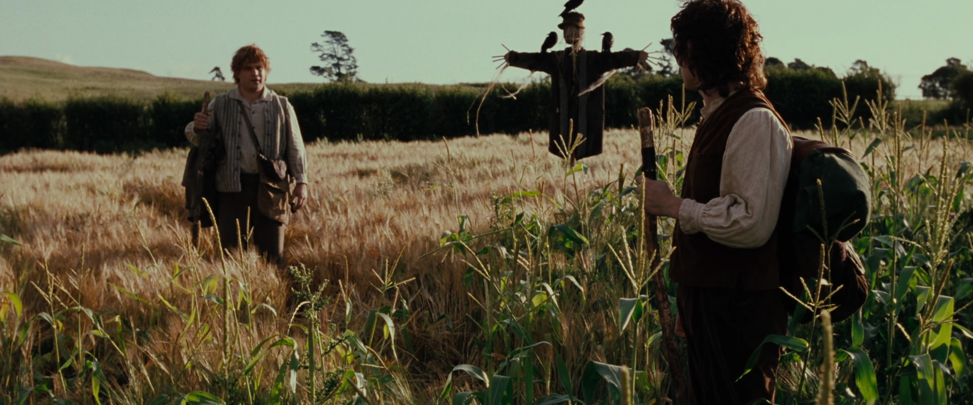The Lord of the Rings: The Fellowship of the Ring (2001) screencap 5079
