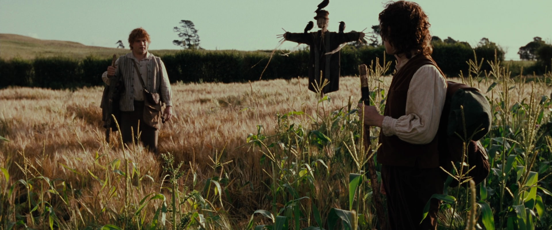 The Lord of the Rings: The Fellowship of the Ring (2001) movie still 5080