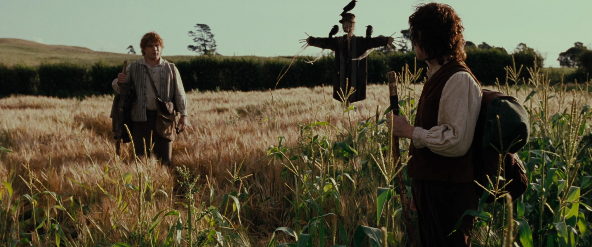 The Lord of the Rings: The Fellowship of the Ring (2001) HD screenshot 5081