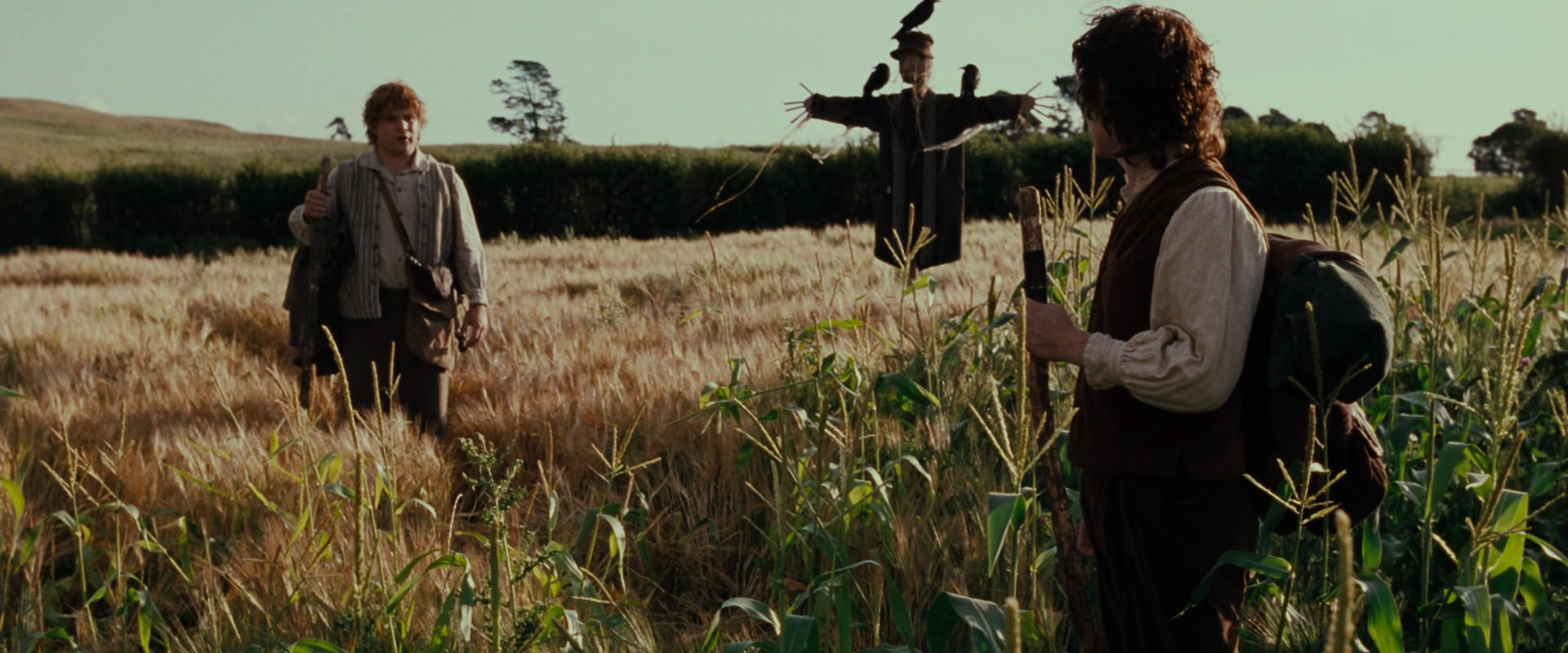 The Lord of the Rings: The Fellowship of the Ring (2001) screencap 5082